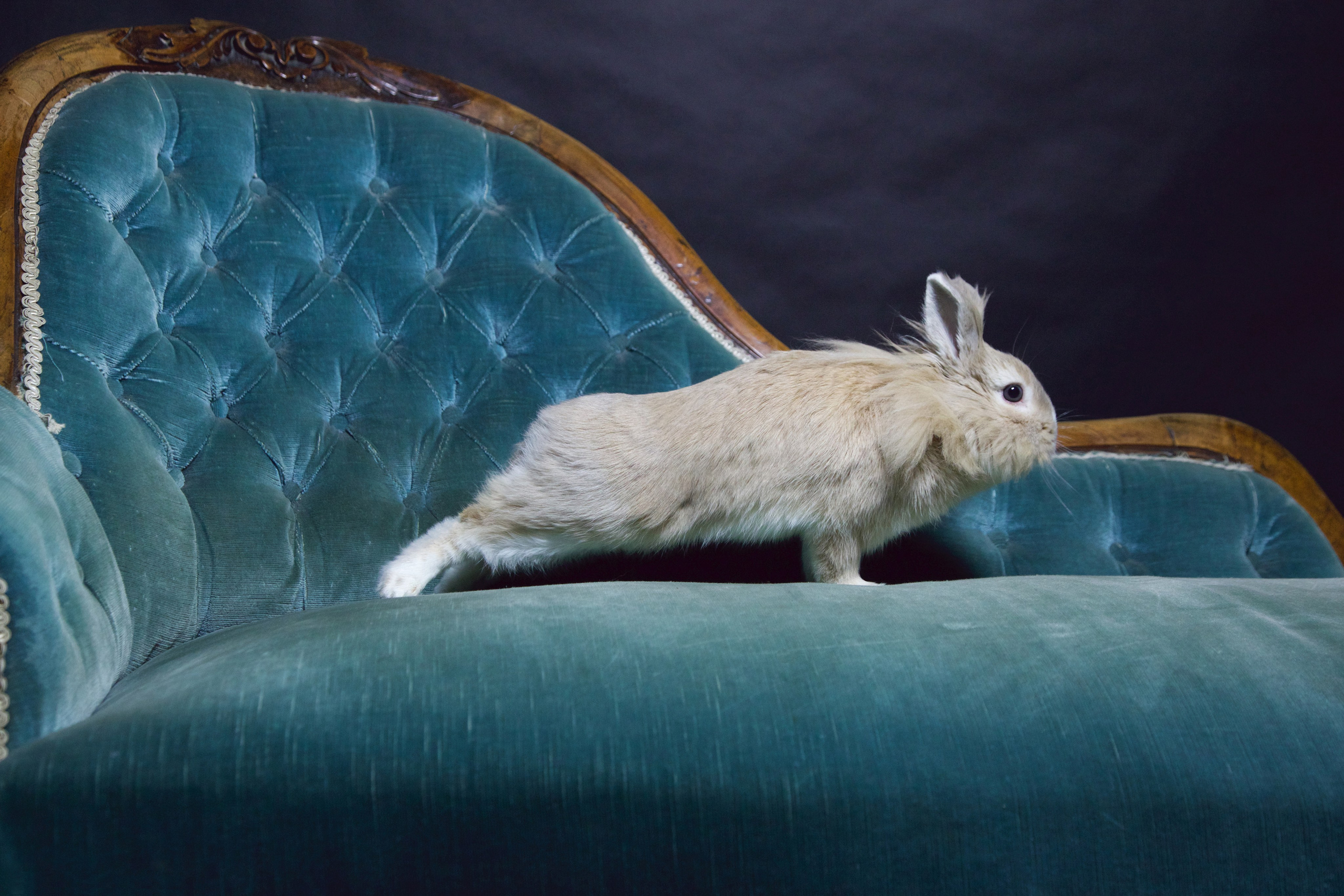 British Award winning Fine Art & Portrait Photographer Elmira Watts