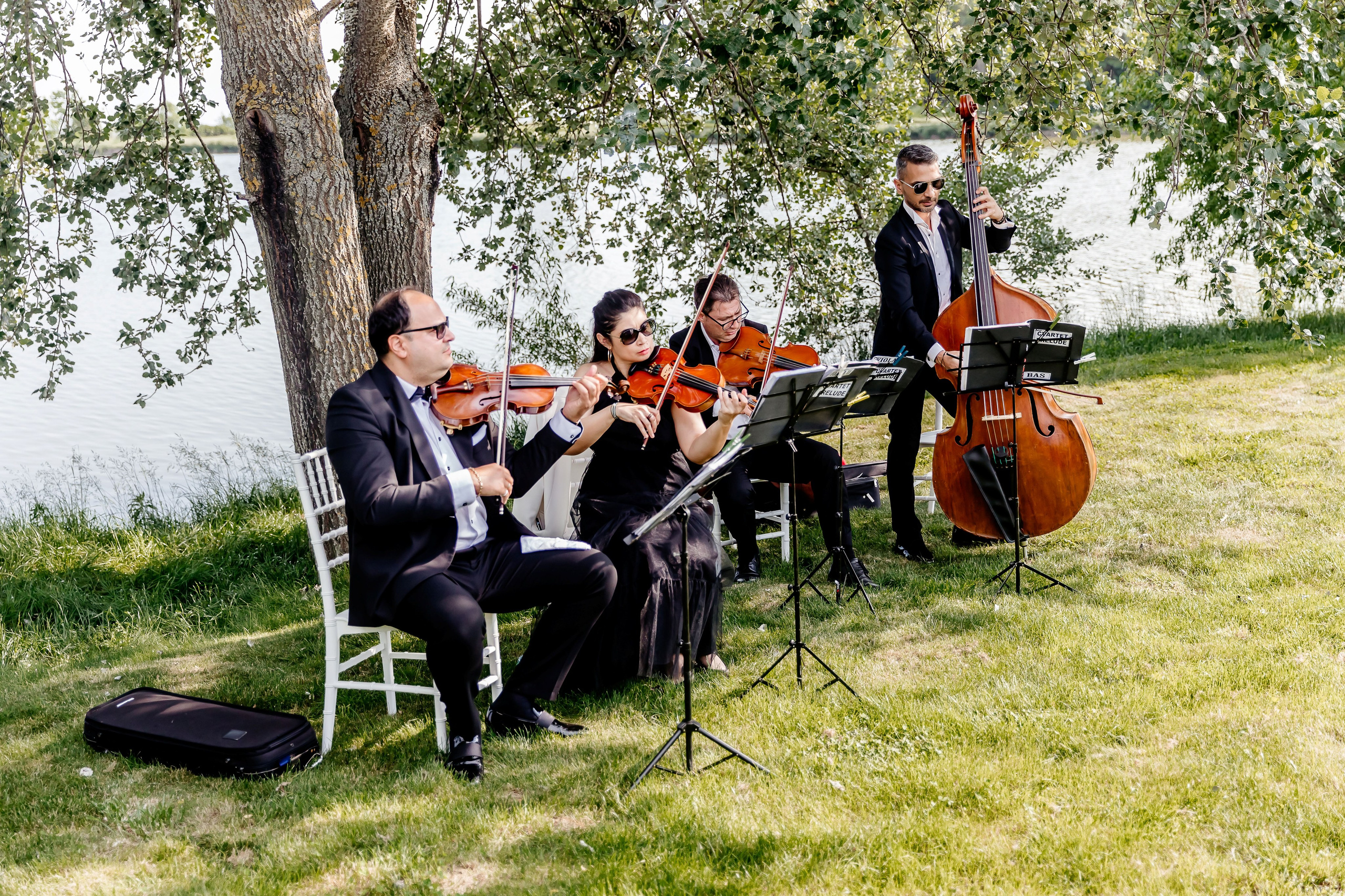 Ana & Alex - Civil Wedding - Craiova. Fotograf Profesionist Pitesti-Bucuresti| Mircea Seinea
