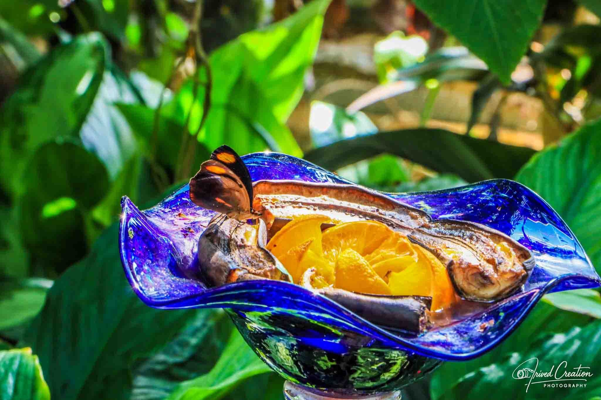 Landscape & Nature. Prived Creation