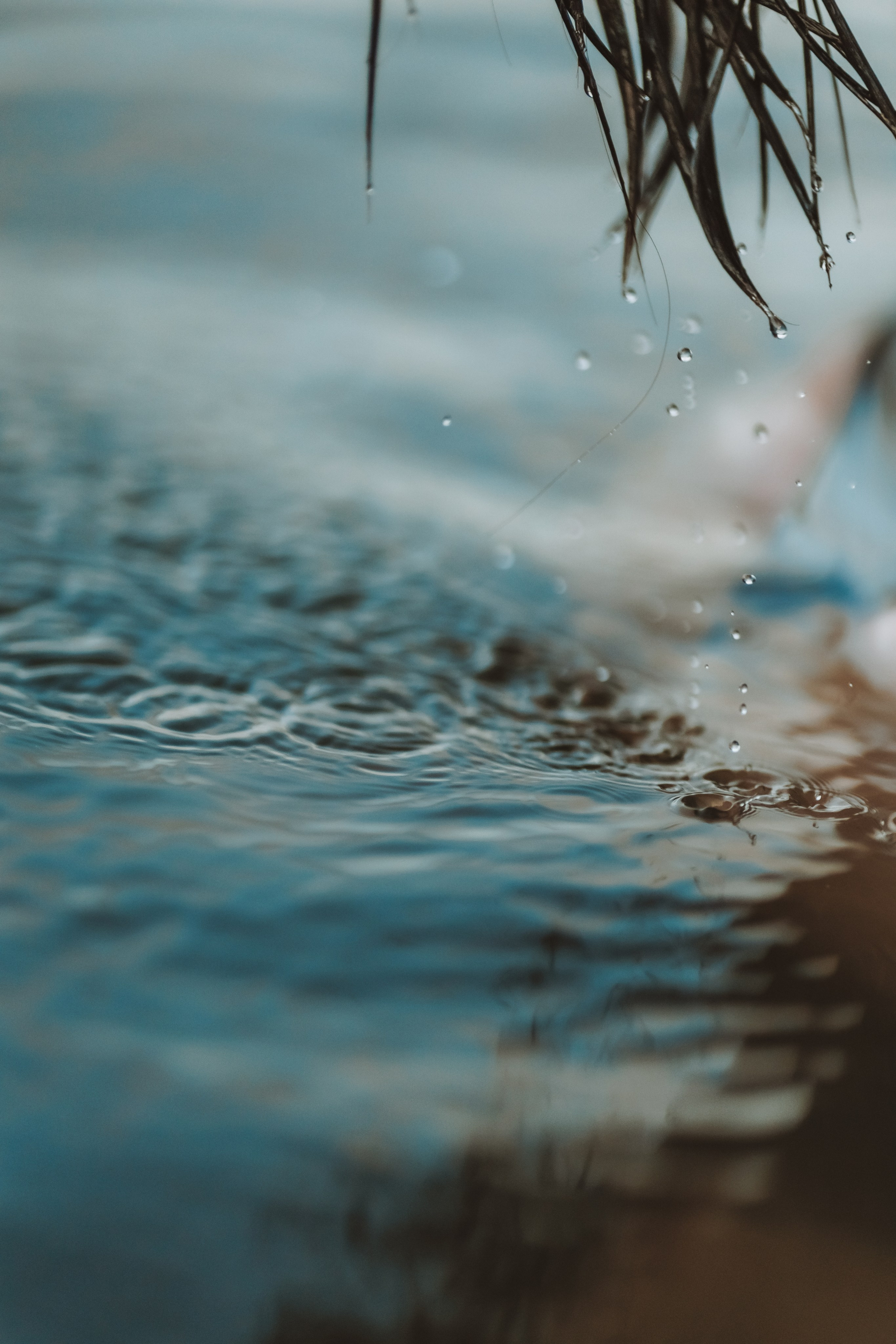 Индивидуална Фотосесия. Фотограф Ирина Йотова