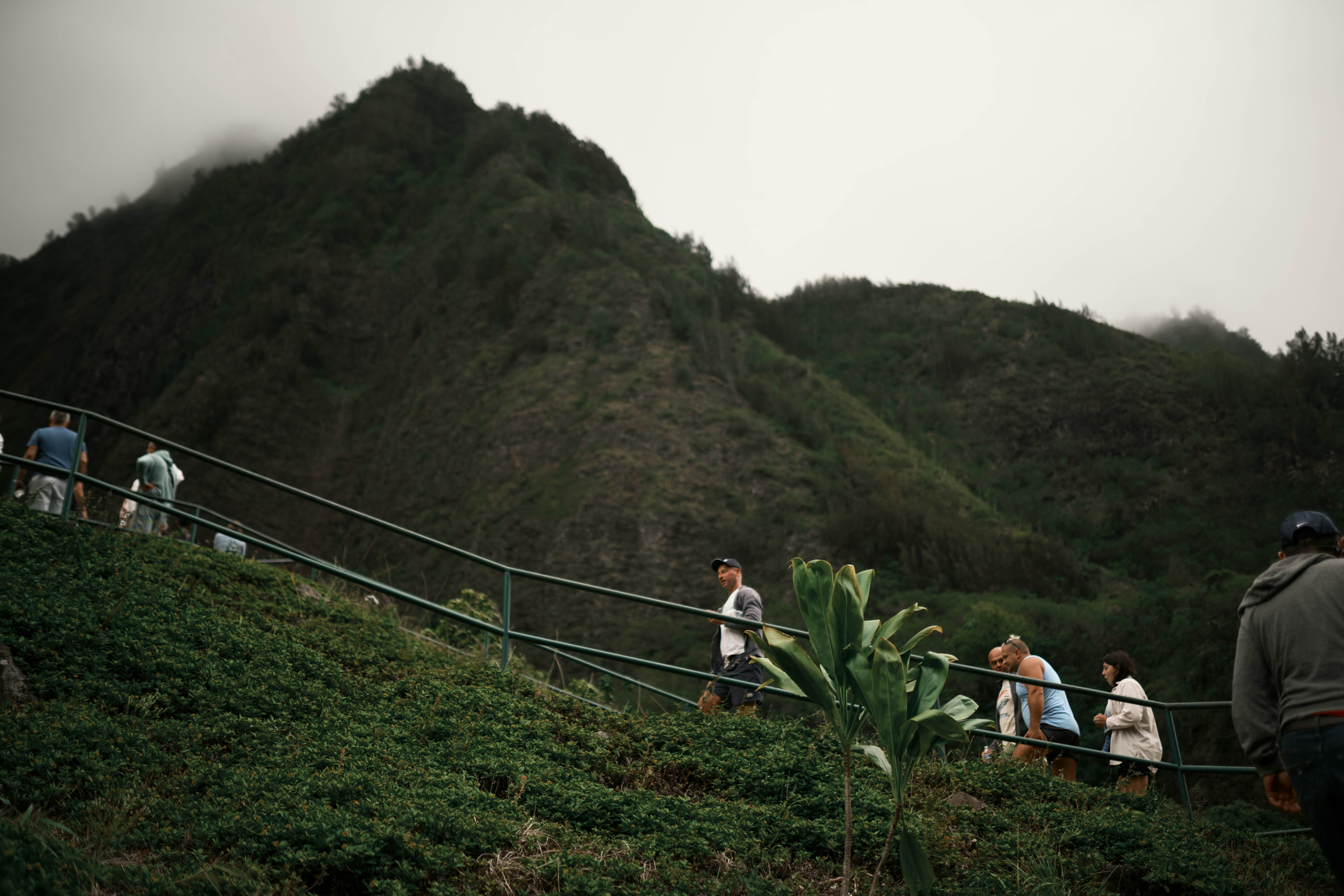 Maui Haik. Photographer in Hawaii