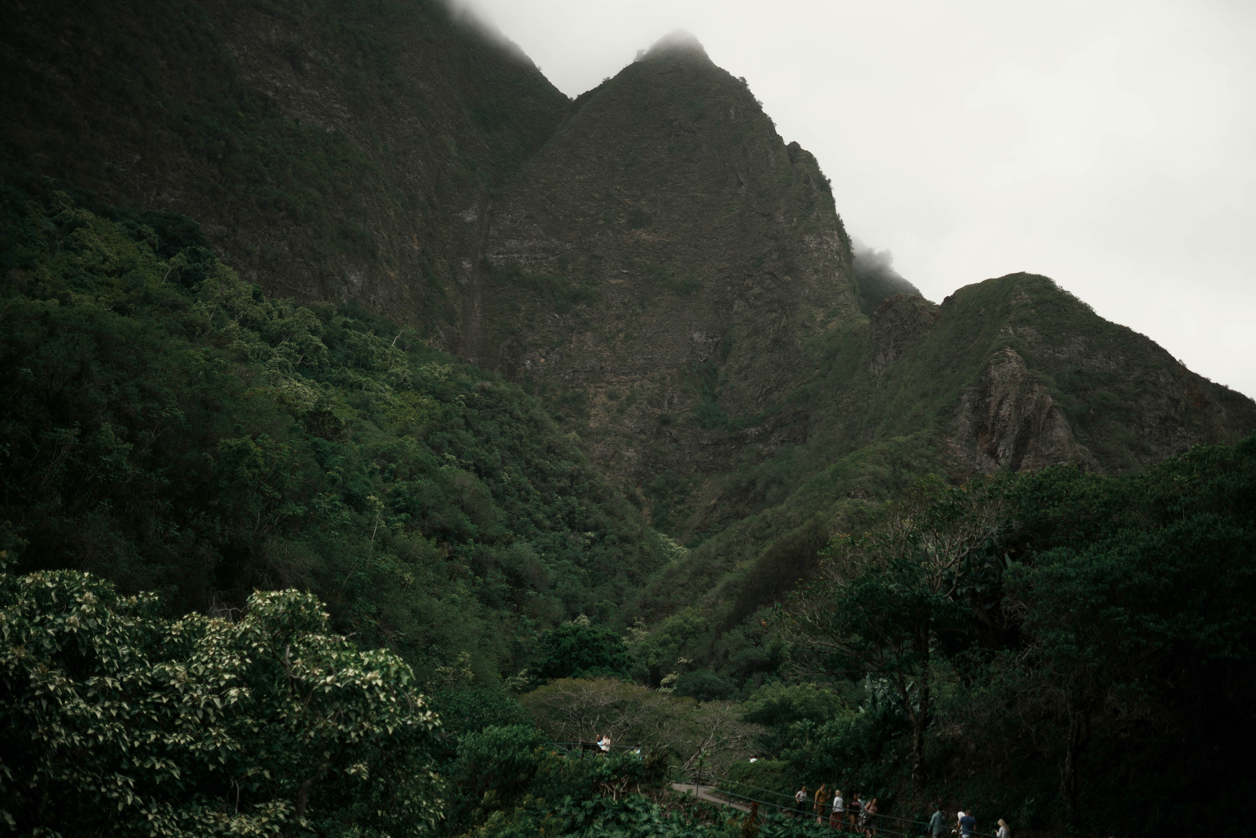 Maui Haik. Photographer in Hawaii