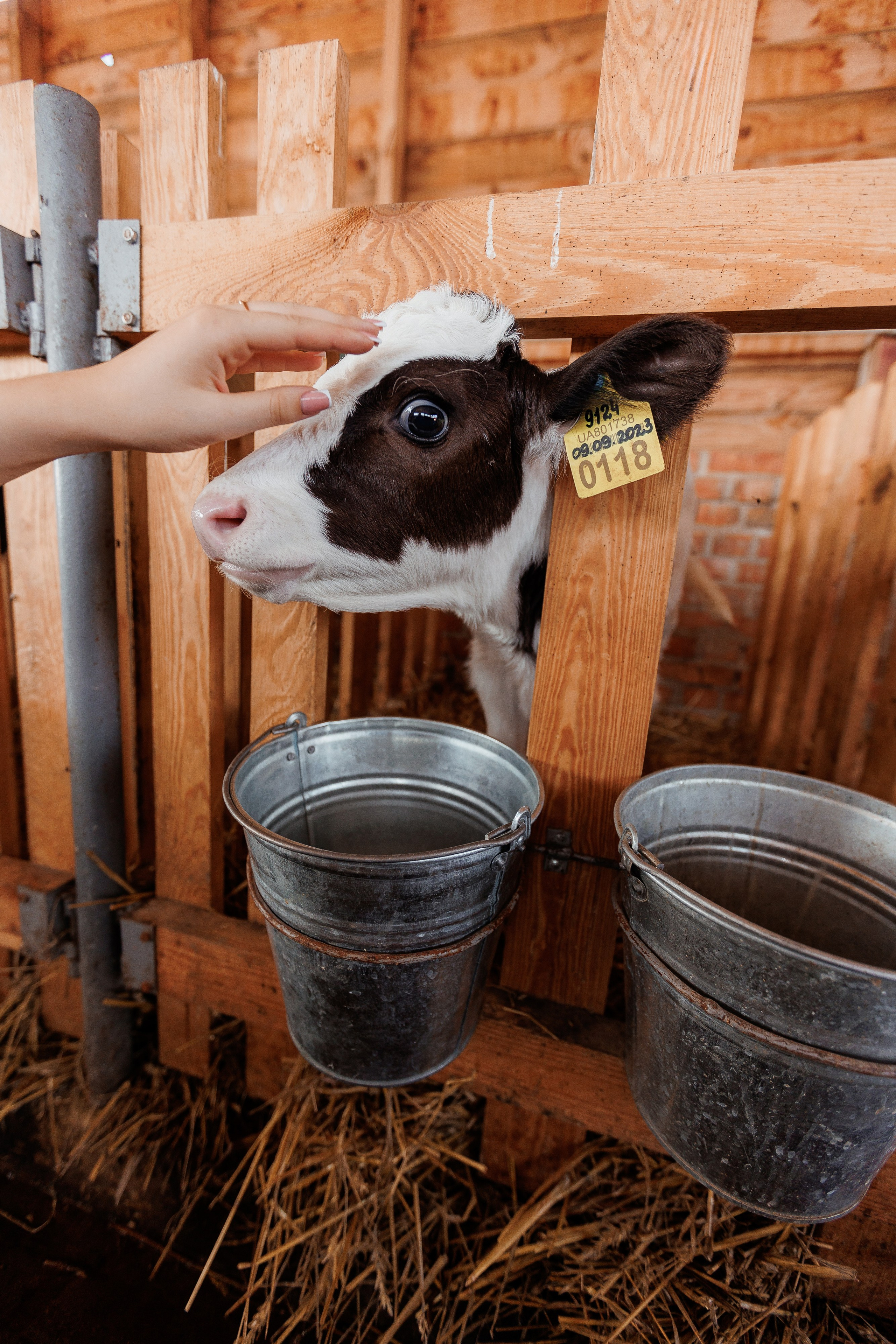 Екопарк Аміла. Ірина Терещук