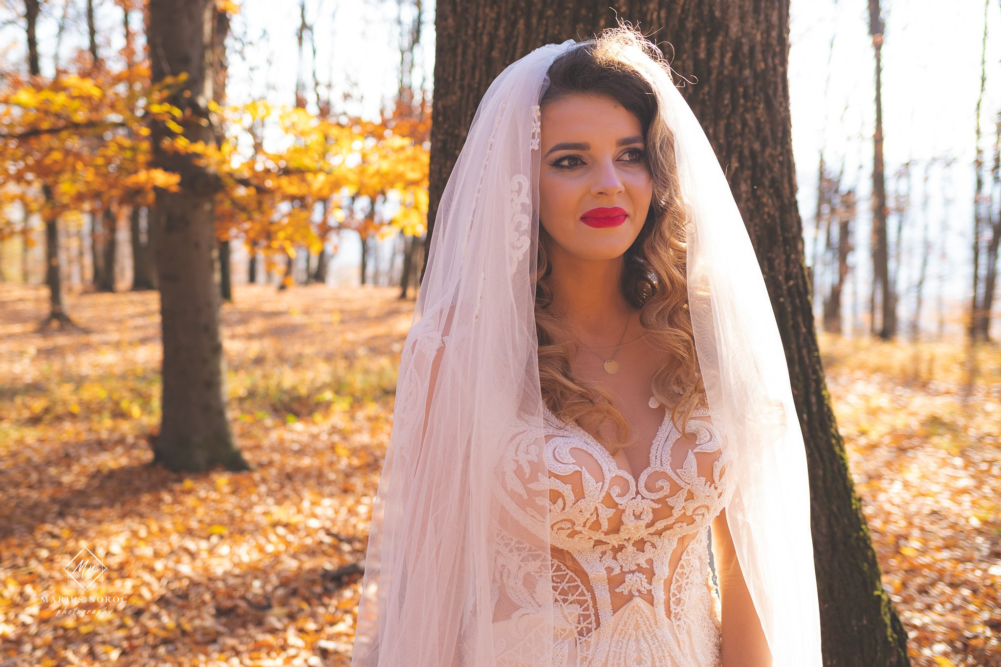 Alexandra & Alin | Padurea Bucium Iasi