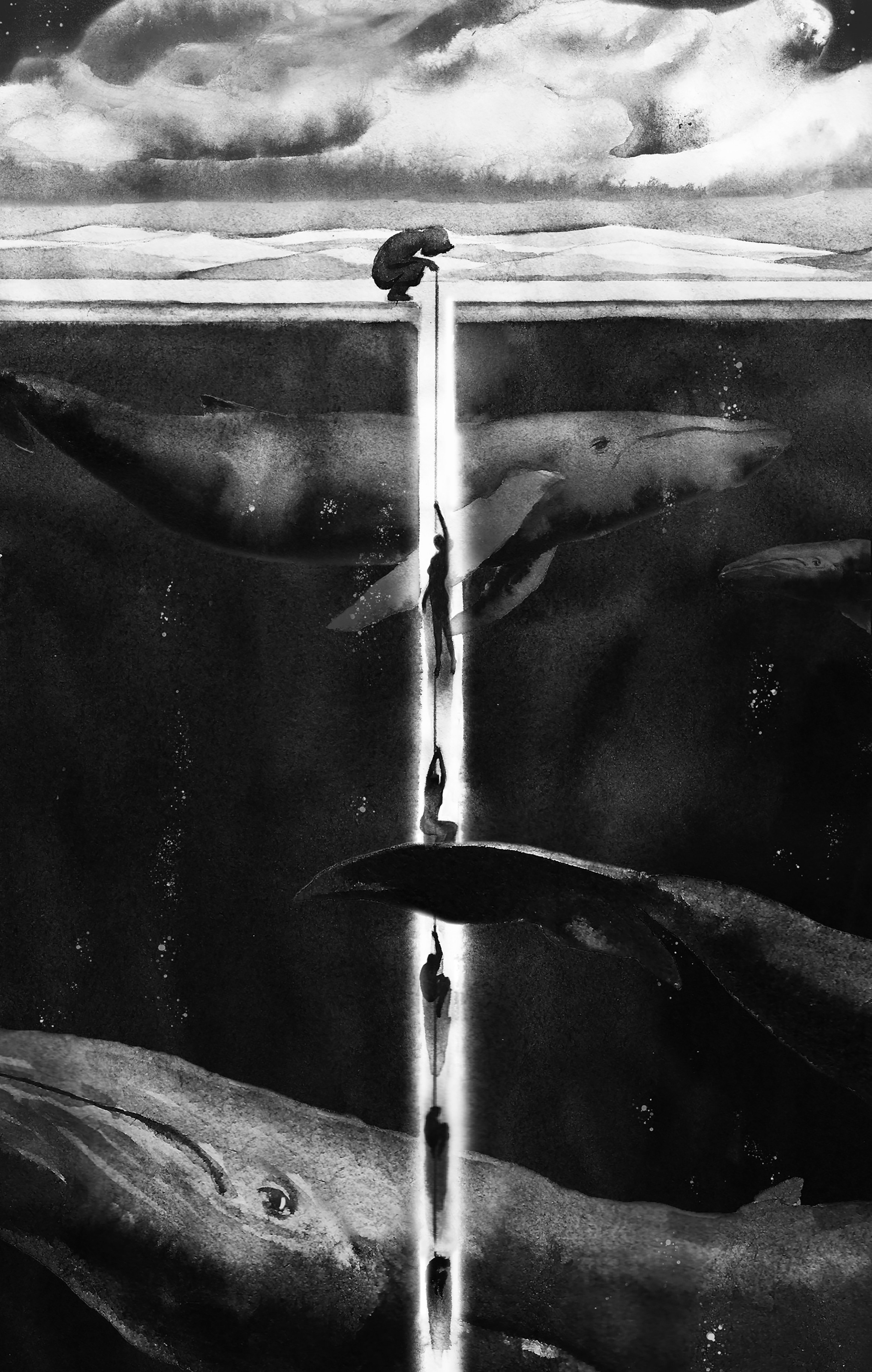 Illustrations. Artist, photographer, graphic designer, dreamer