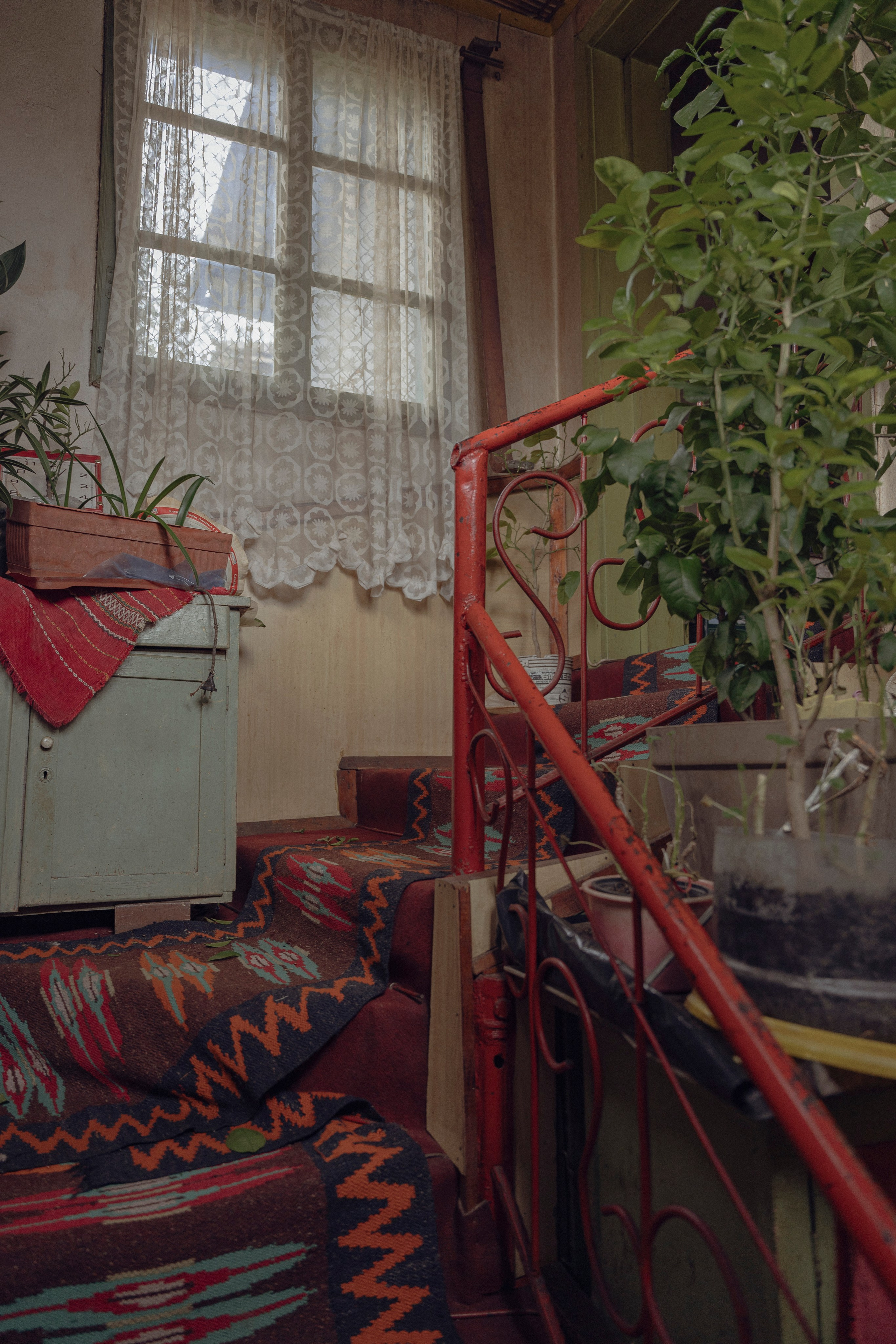 Still Home. Professional Photographer, Videographer in London Dilyana Tankova