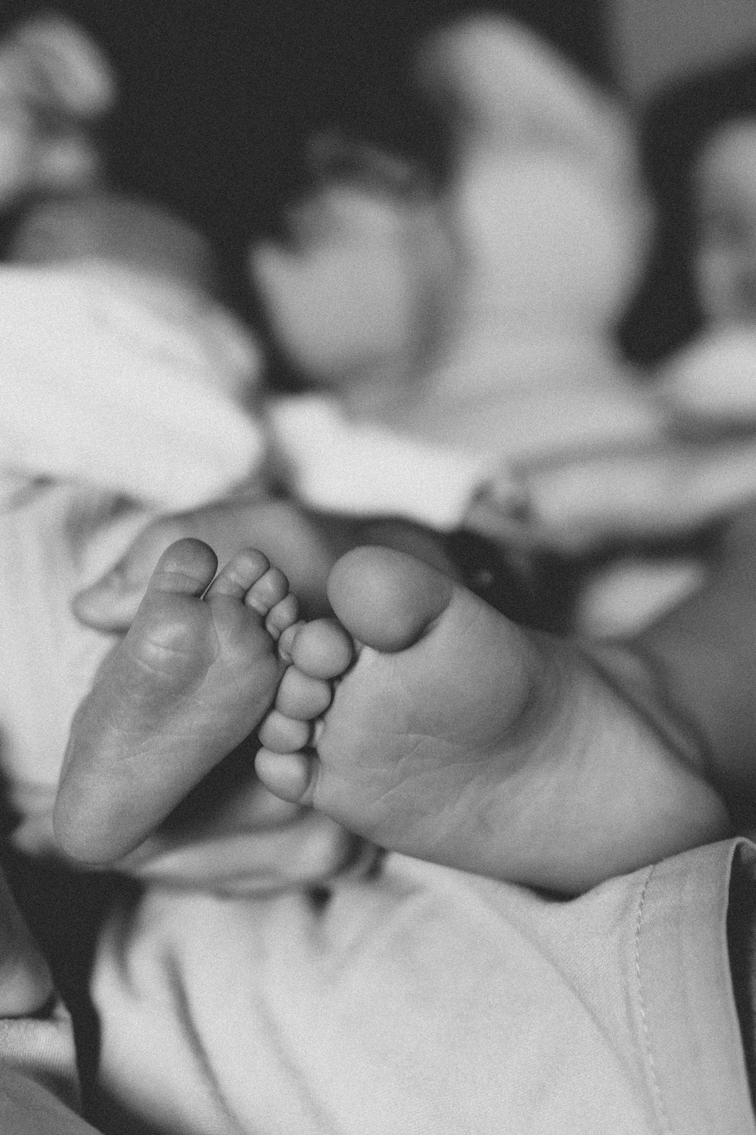 Shayne, Alon, Yanay and Kedem