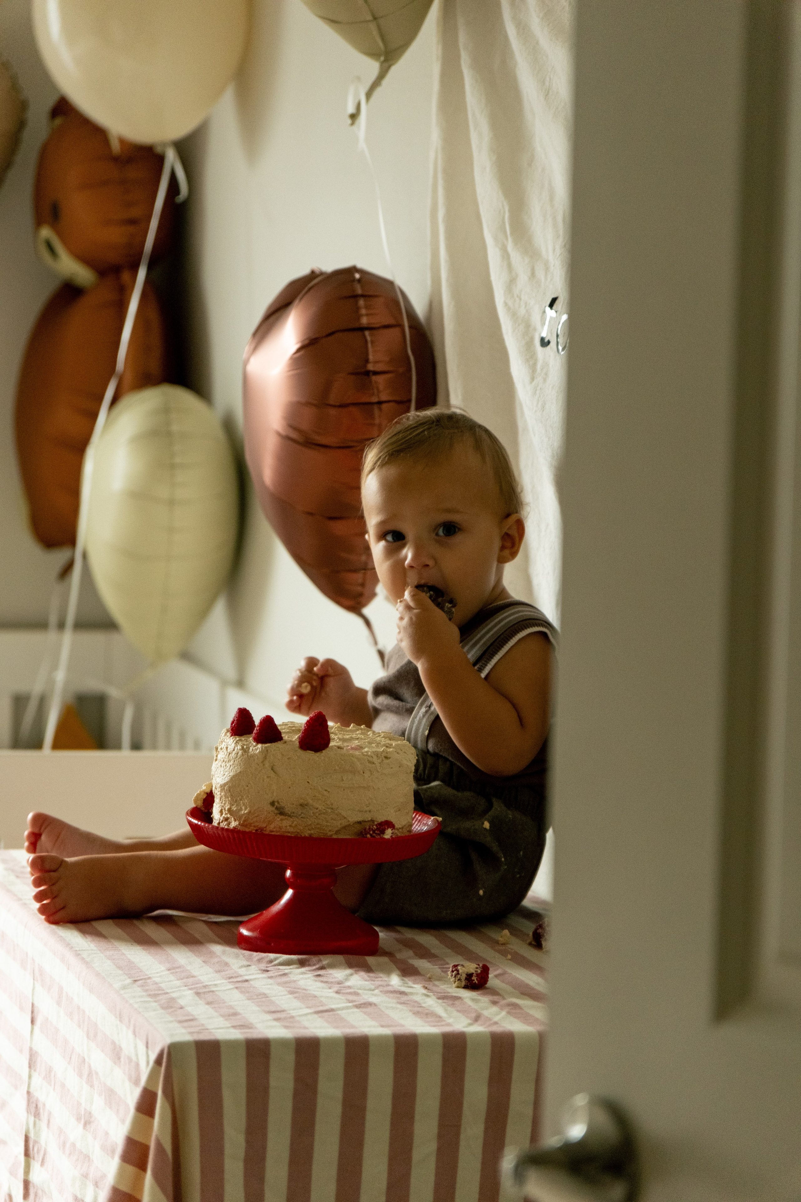 Veniamin 1 year party. Photographer Vladmir Gladkov