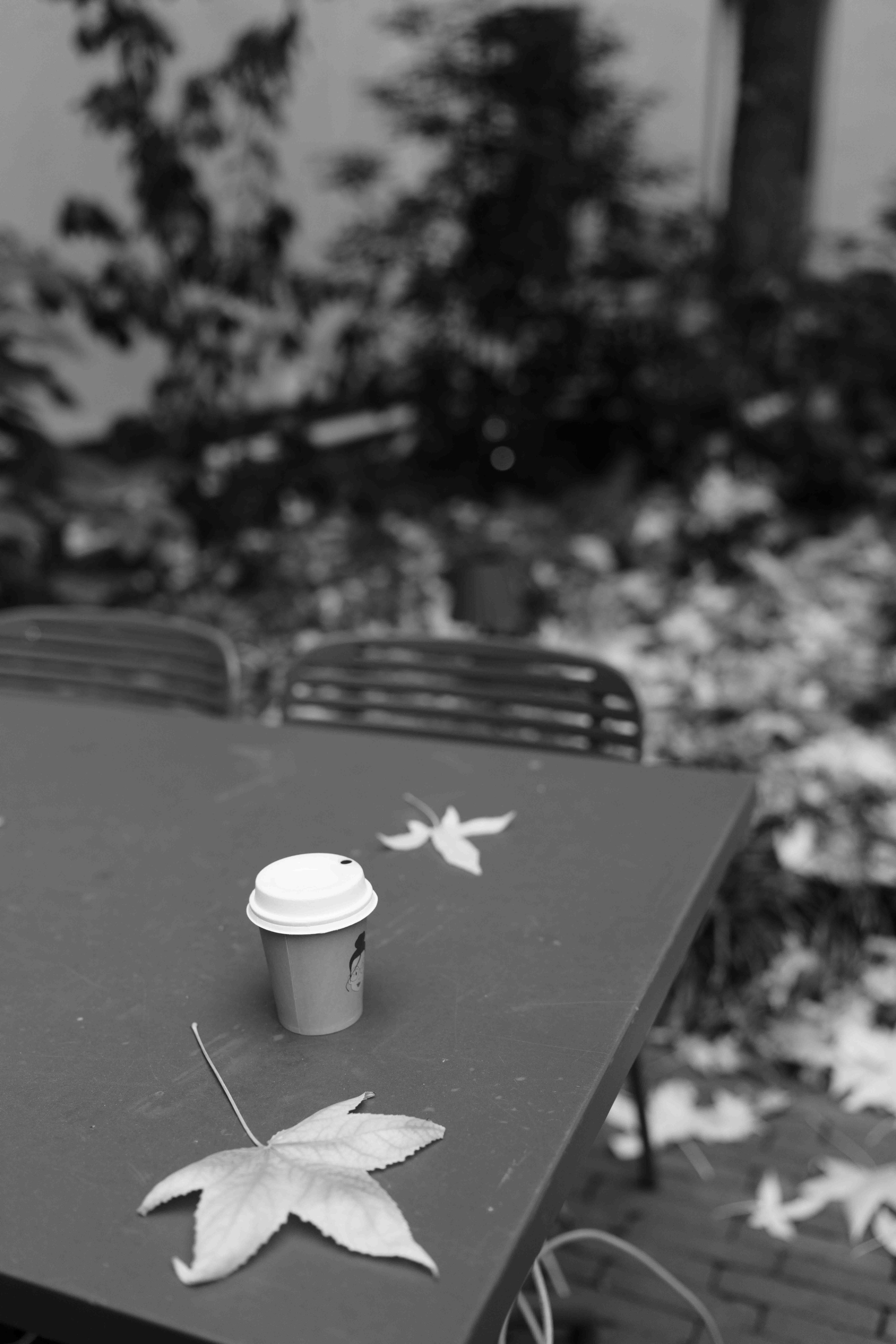 Света 41. Frenkel Nadja Fotograf in Darmstadt|Frankfurt|Wiesbaden