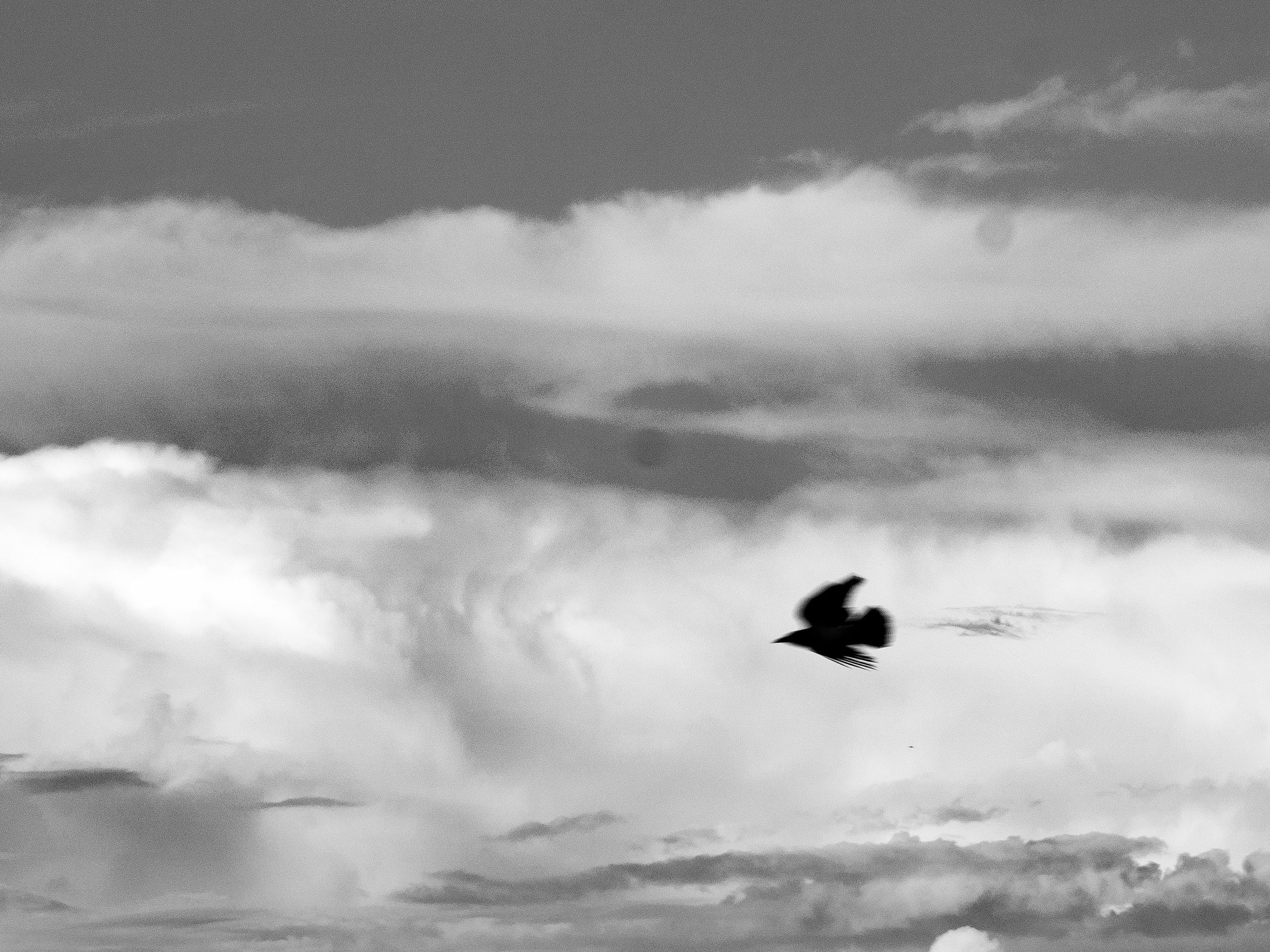 Crow. Главное меню