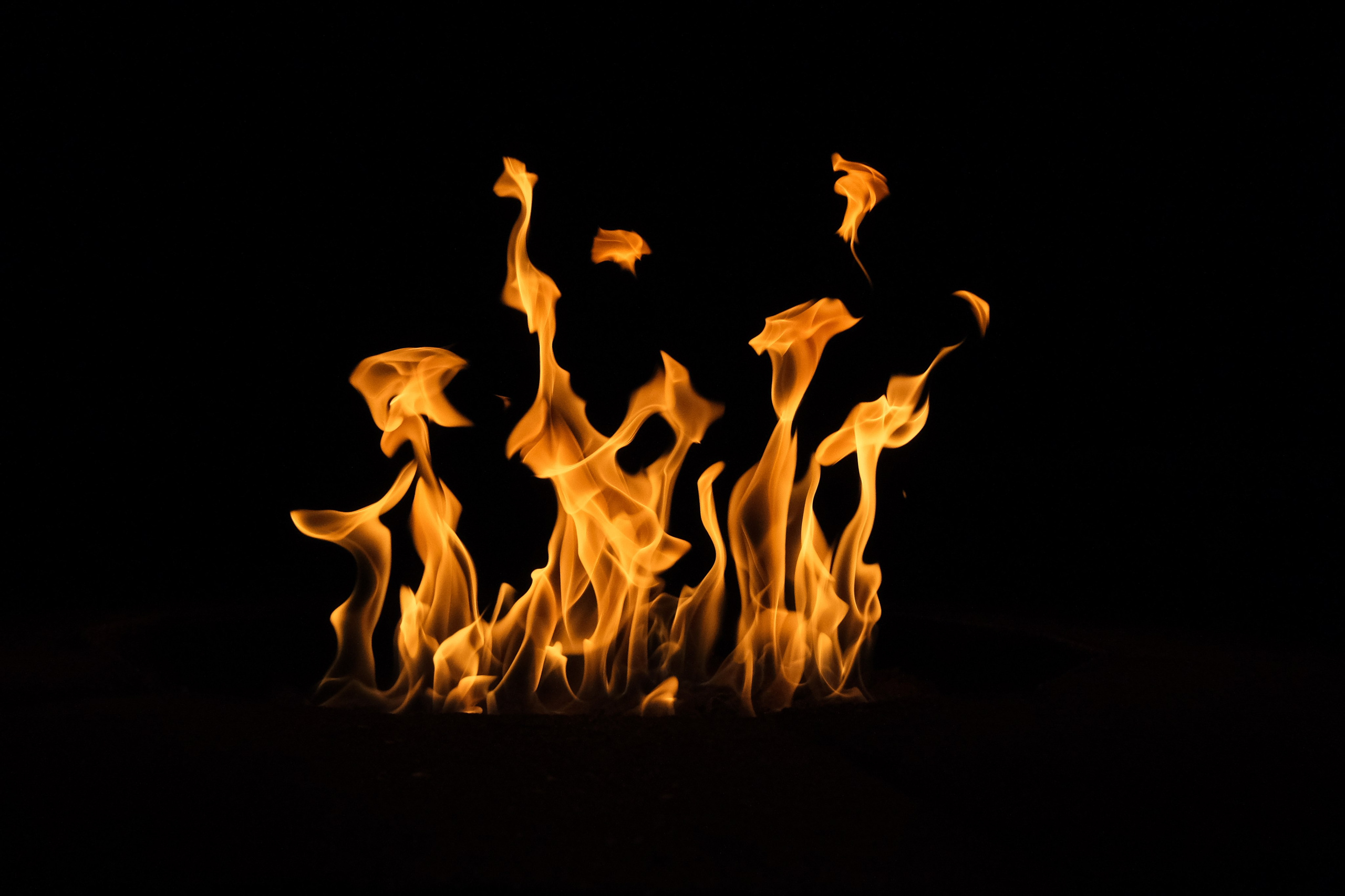 VATRA. Reportage concert portrait photography in the San Francisco Bay Area