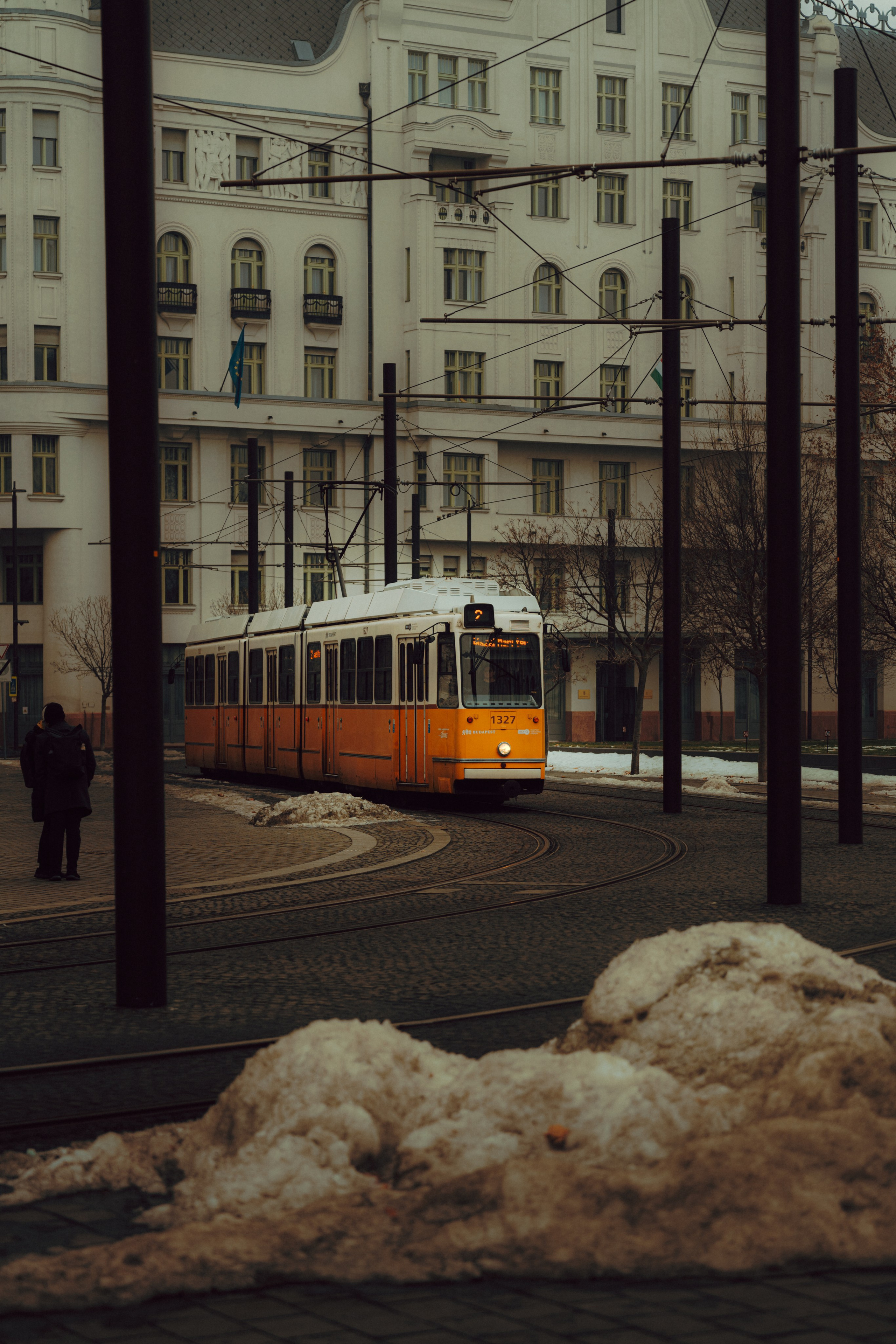 Budapest. Merabi Eminashvili