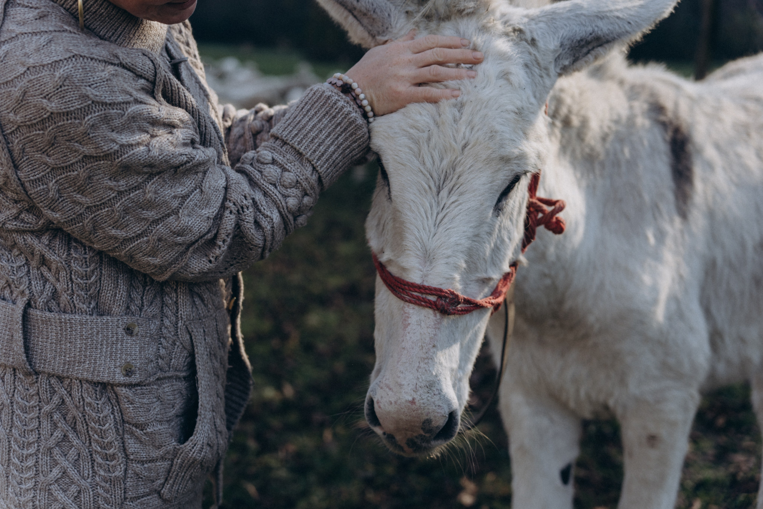 EGENIA. PHOTOGRAPHER IN ITALY
