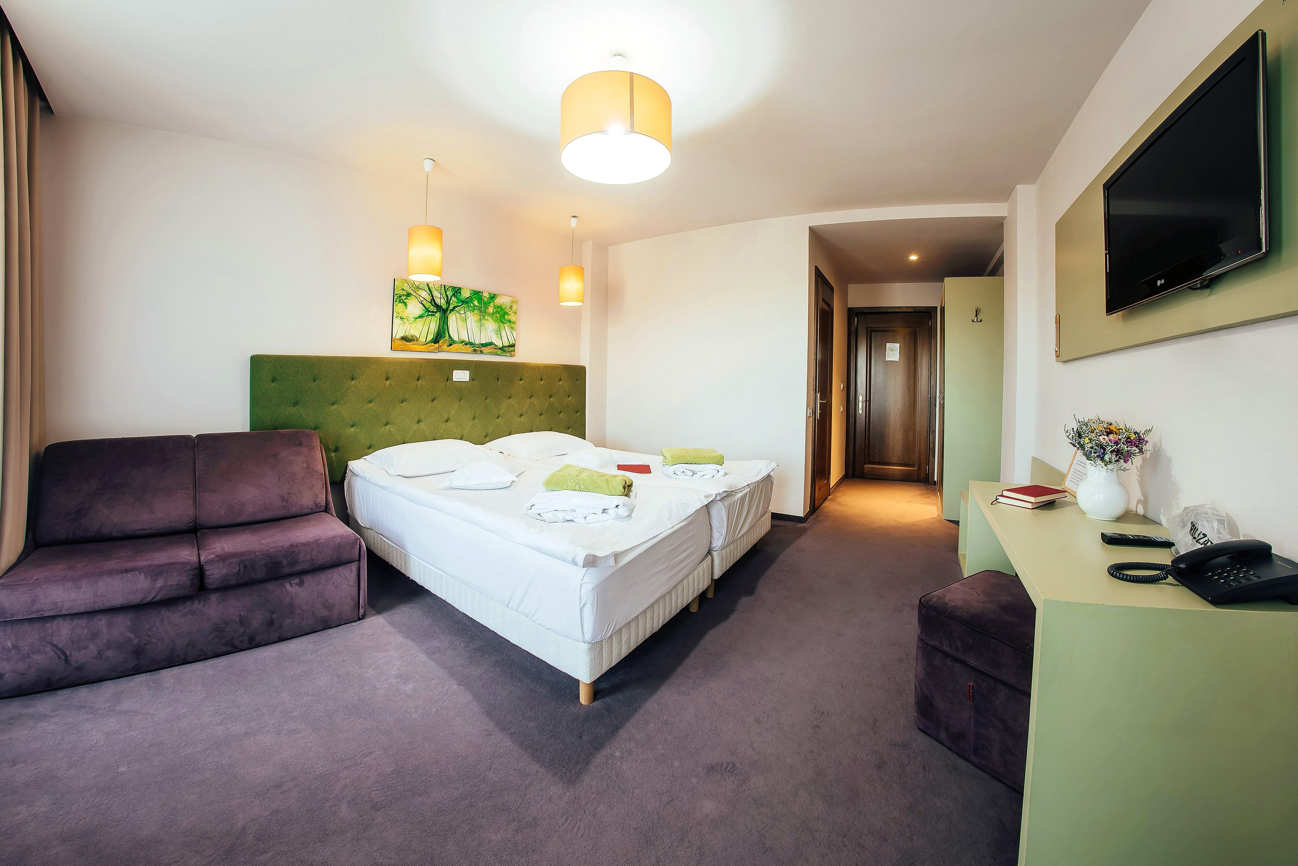 Pensiuni. George Boicu — Fotograf — Gura Humorului