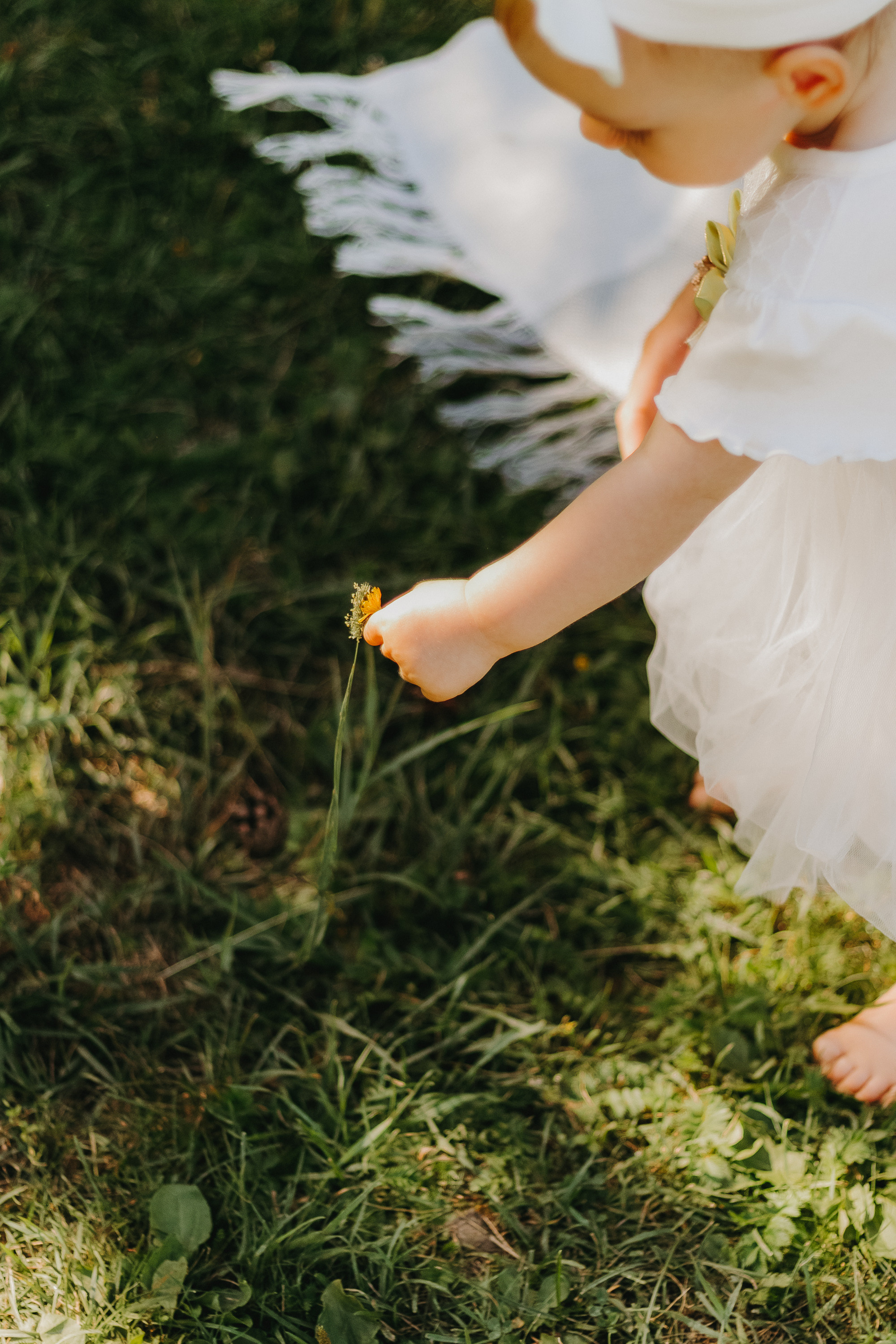 Family. Elena Gorobets. Photographer in Zagreb