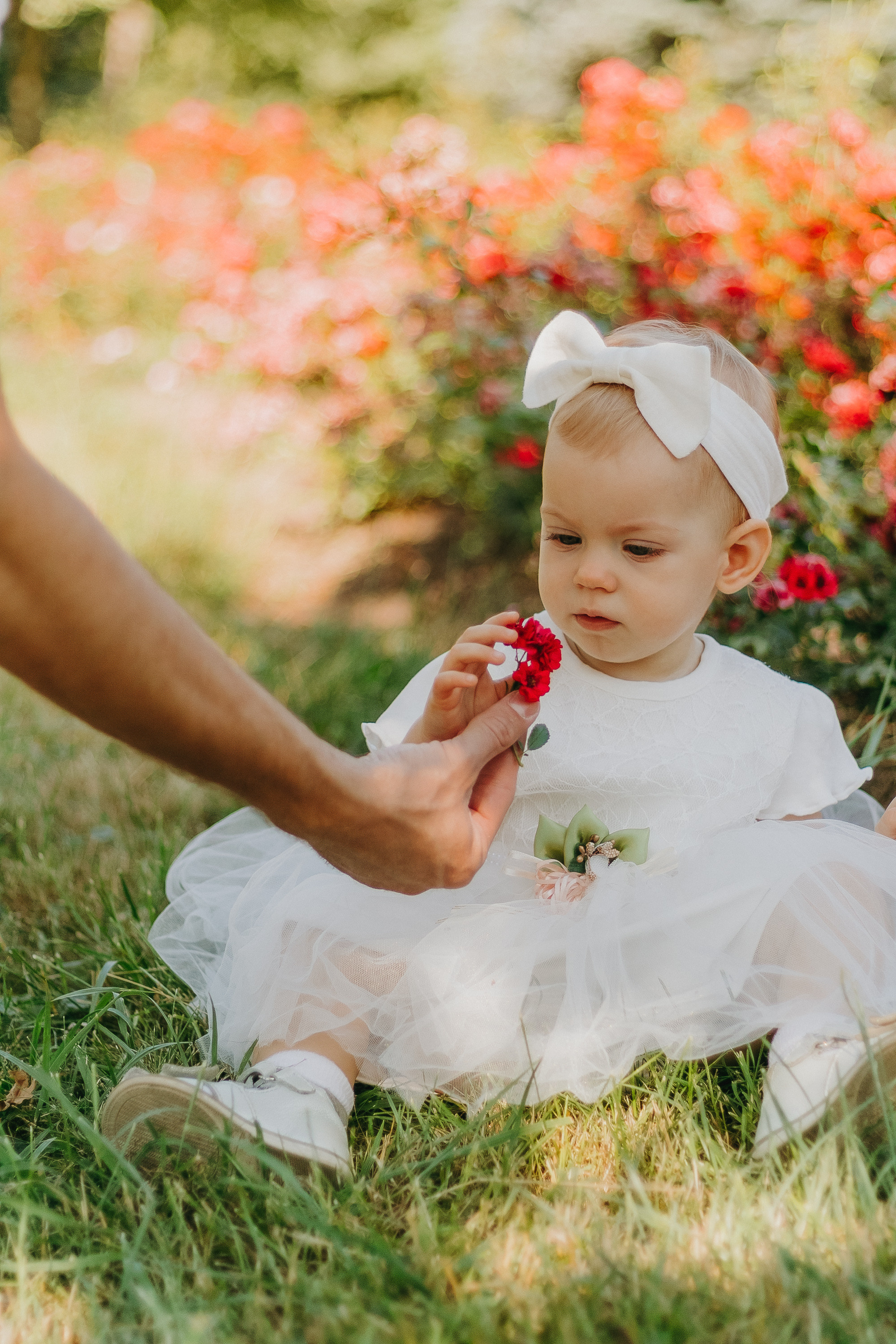 Family. Elena Gorobets. Photographer in Zagreb