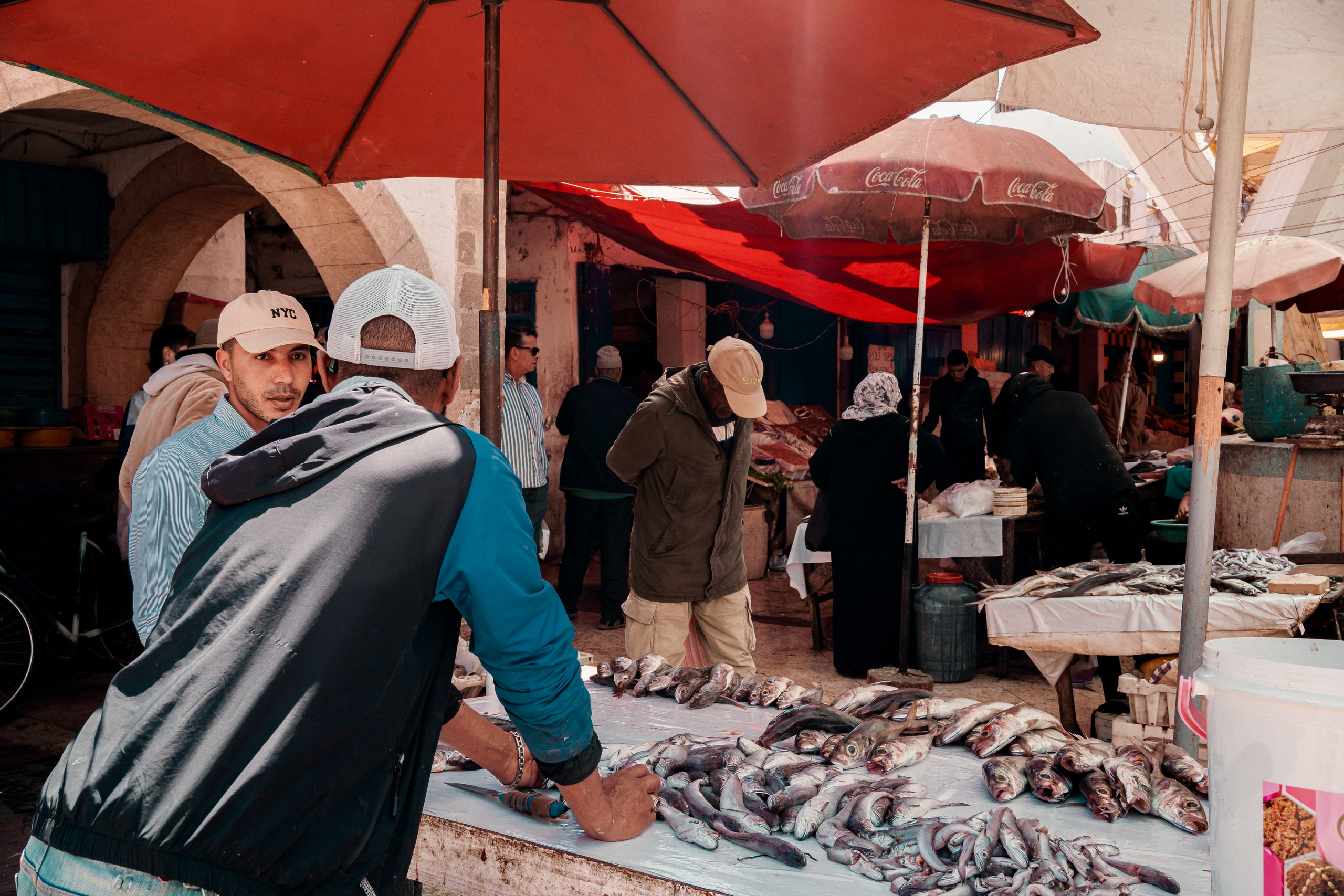 Worldscapes. Catarina Calheiros