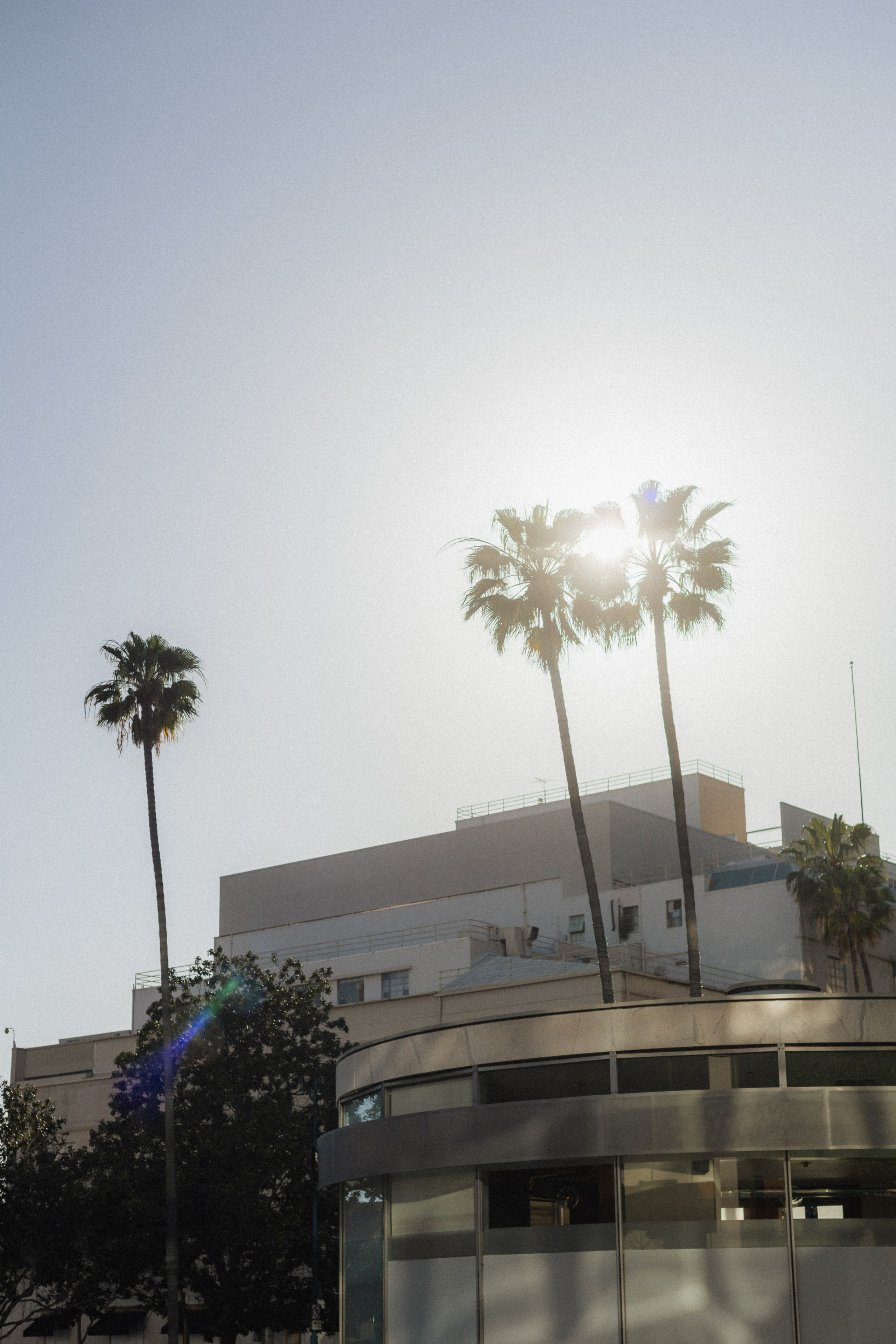 Los Angeles. Aleks.photo | Book a photoshoot