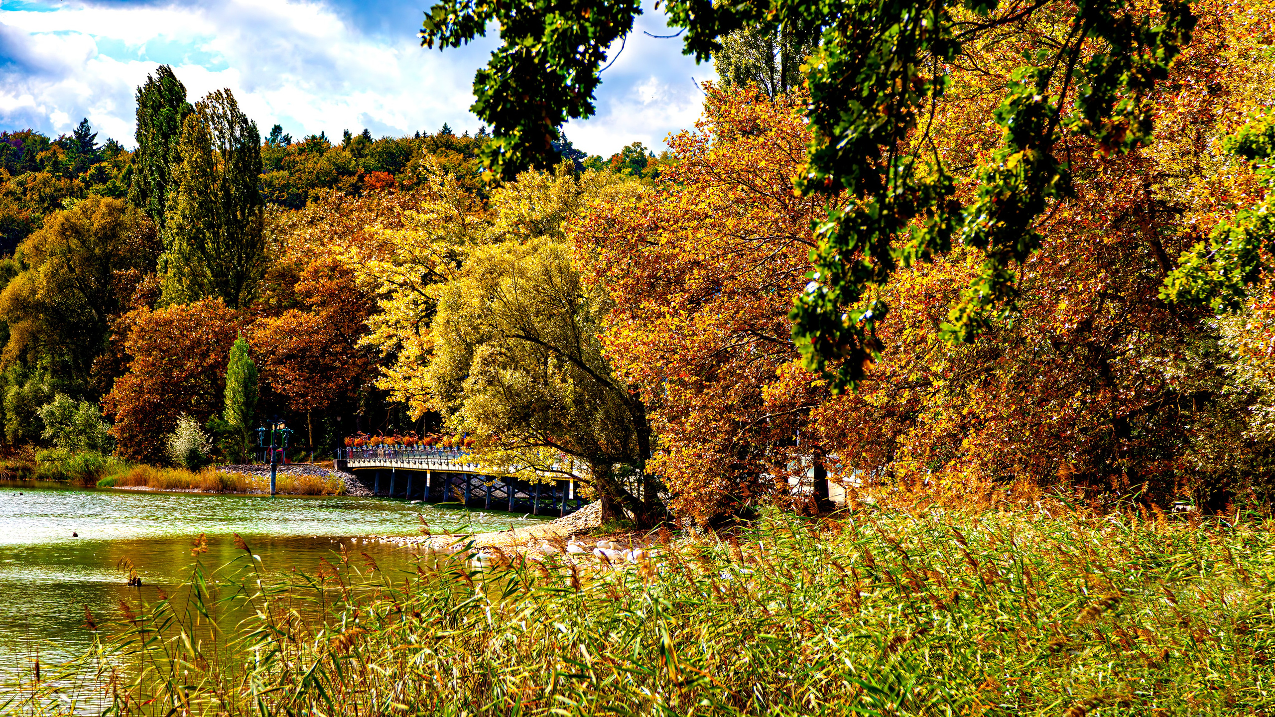 187.Mainau.Germany.24.9.2024. Путешествия в формате 360......