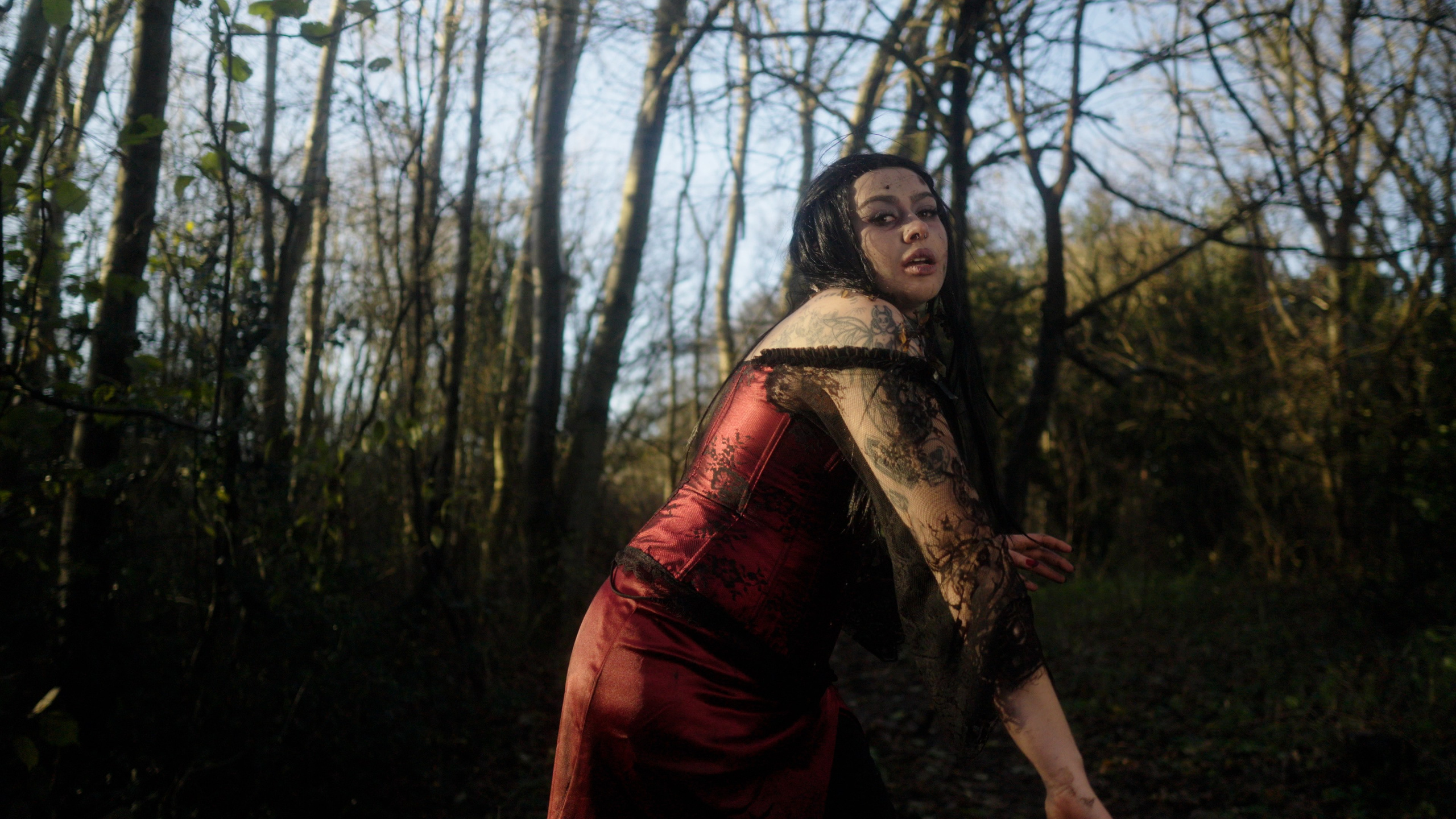 Dead Kitty Photoset. Molfar Visuals