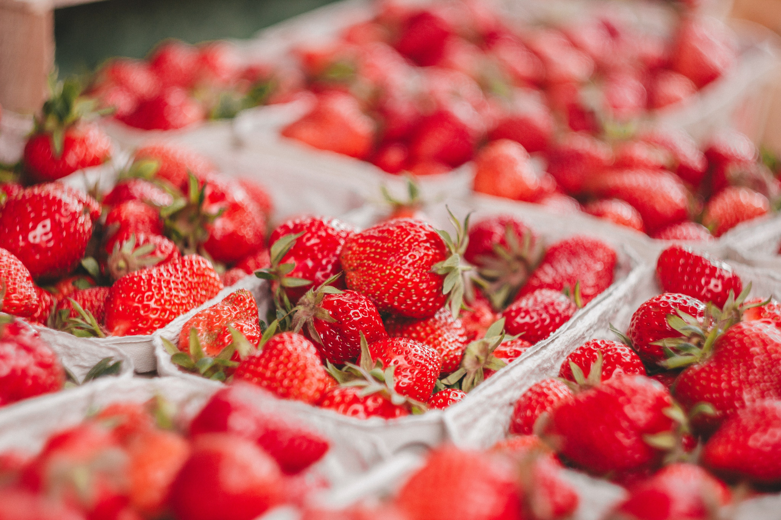 Oberkircher Erdbeerfest. Maria Chistyakovа — Fotografin in Karlsruhe, Baden-Baden und Umgebung