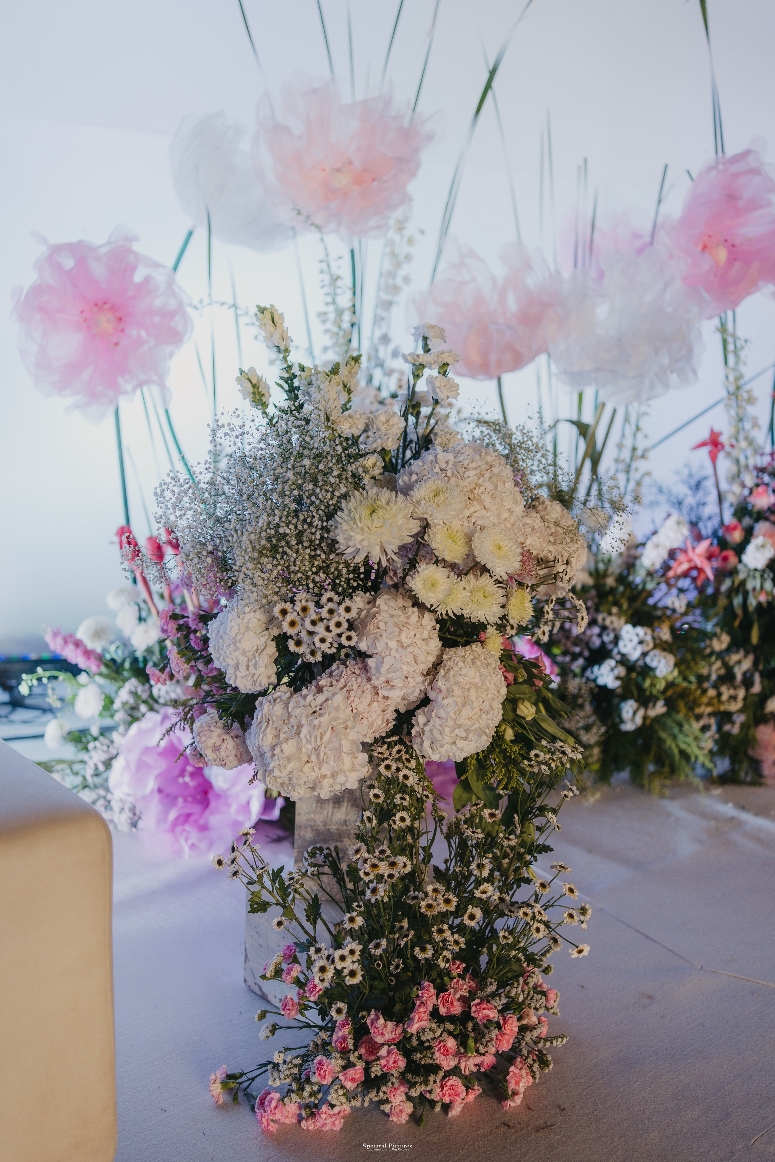 Partha & Aakansha | The Grand Reception Tale