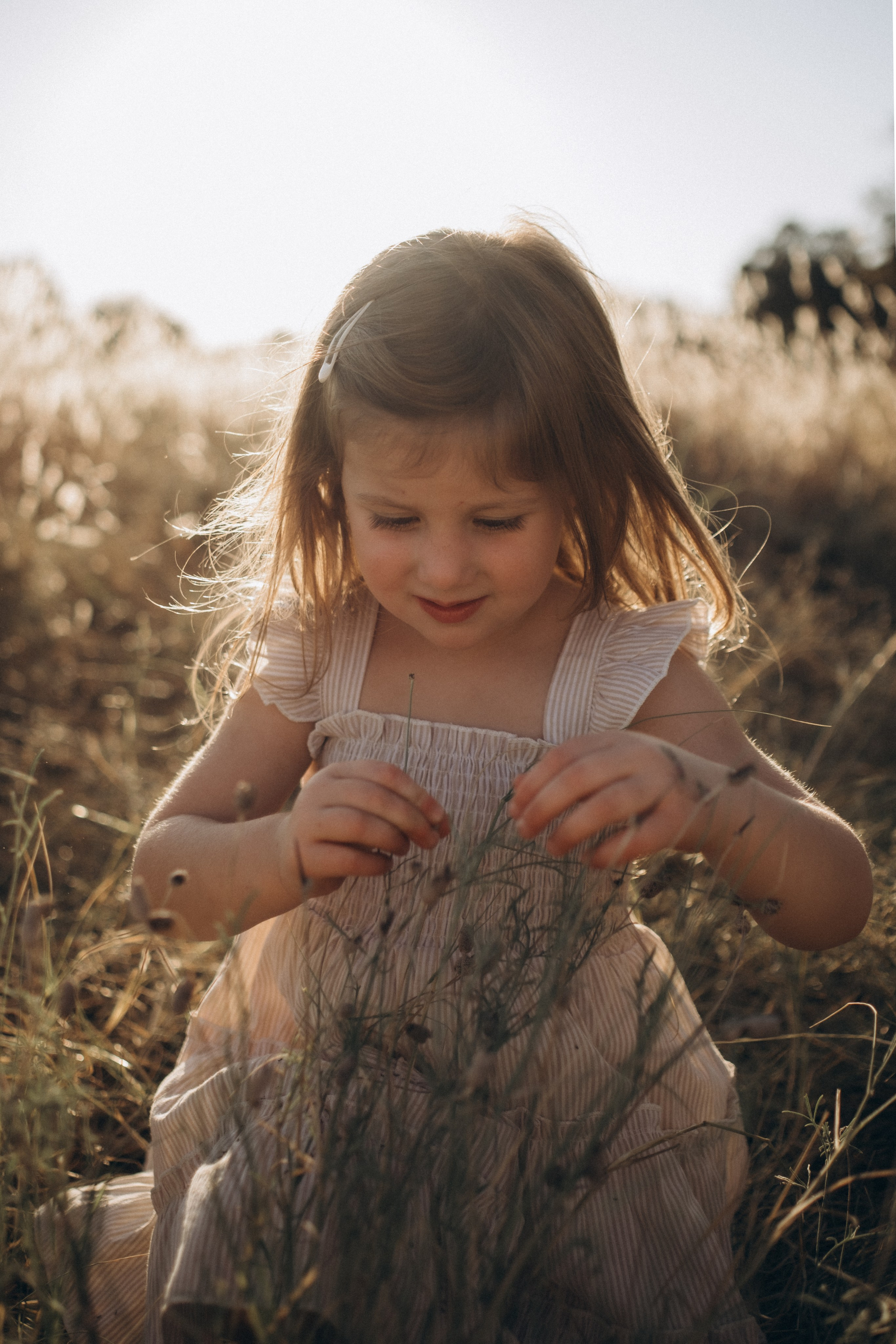 Autumn Story. Lens Captures Life