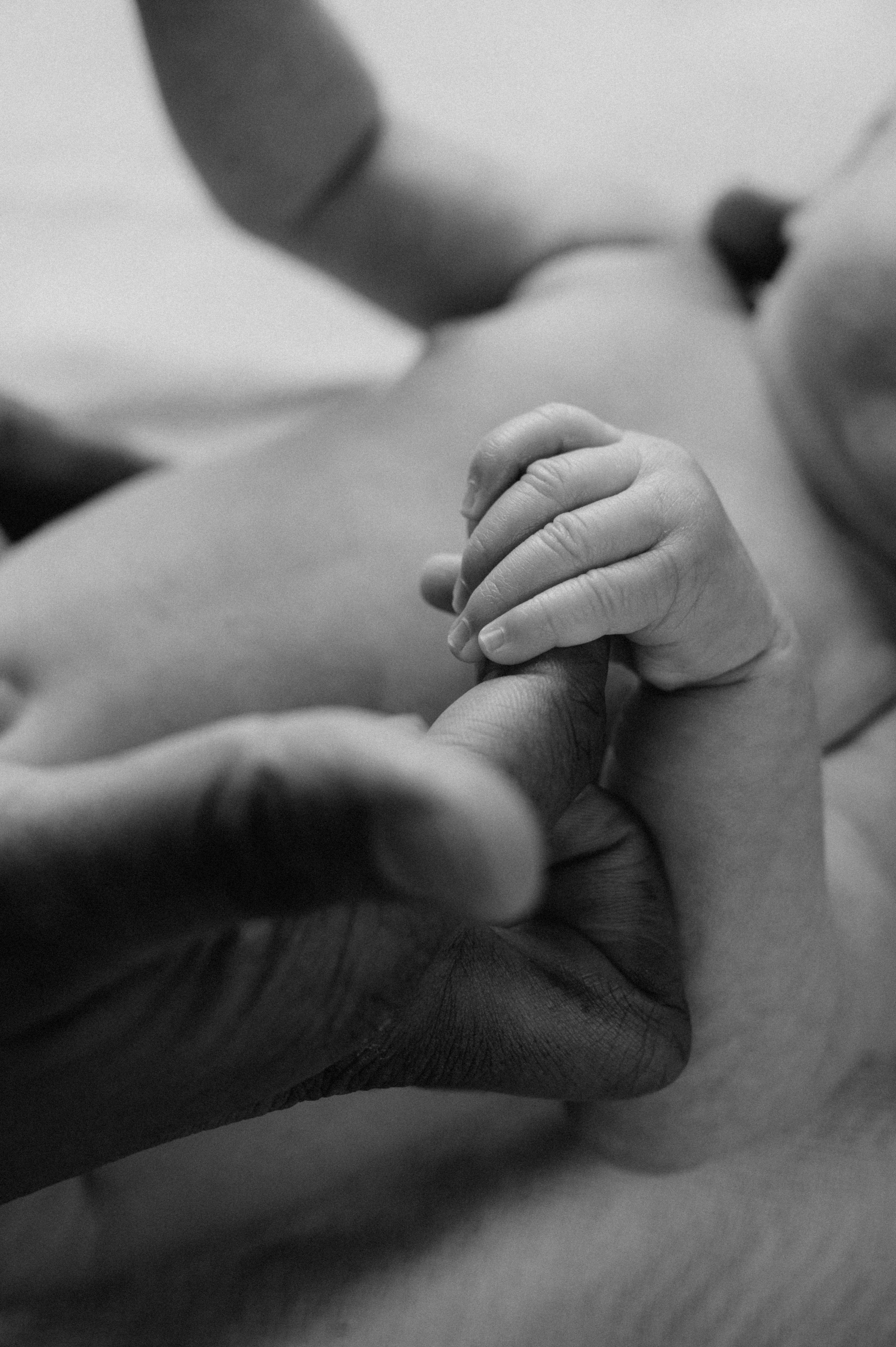 Barn- og familiefotografering. Din fotograf i Narvik kommune