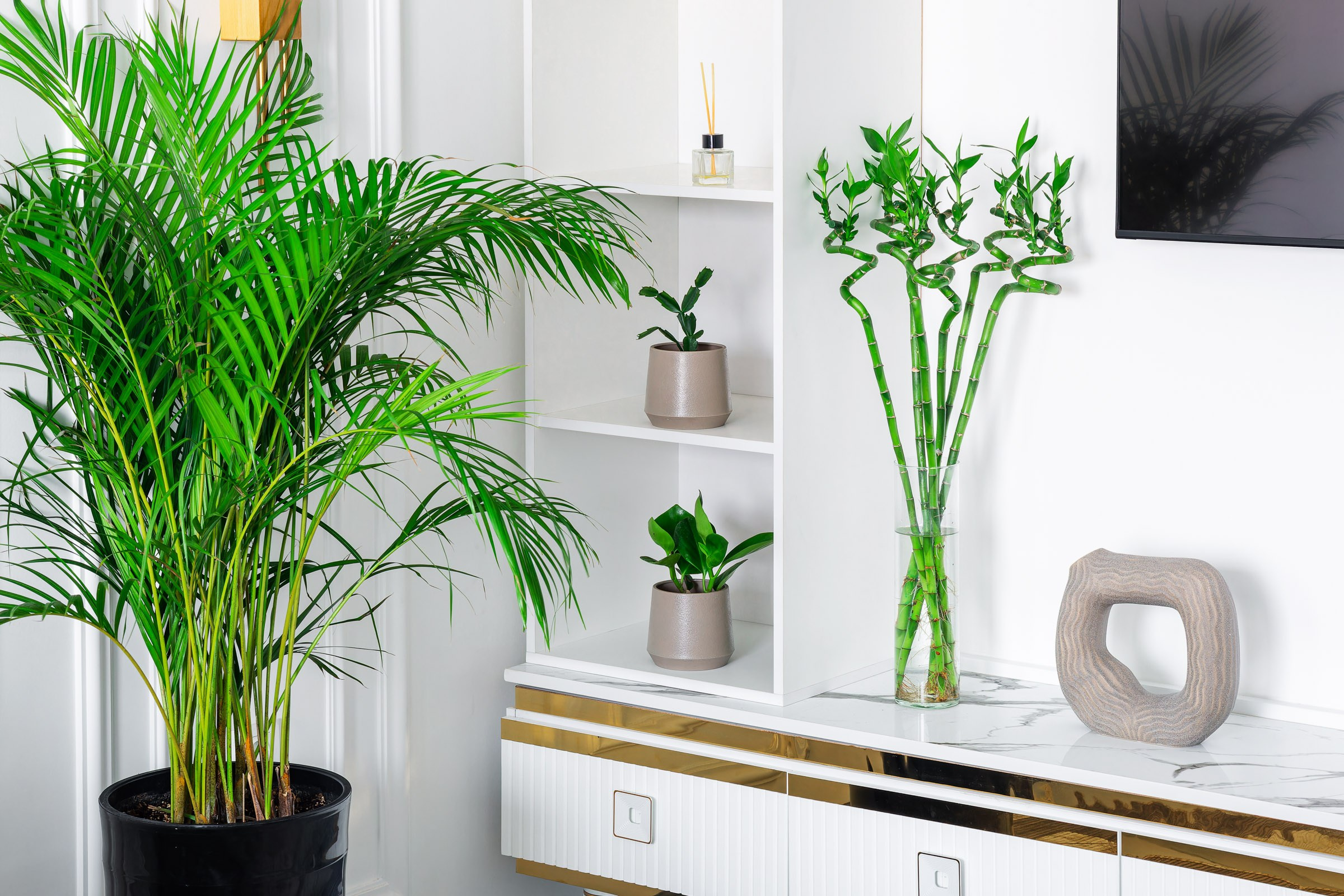 Inter'ernyj fotograf v Tashkente