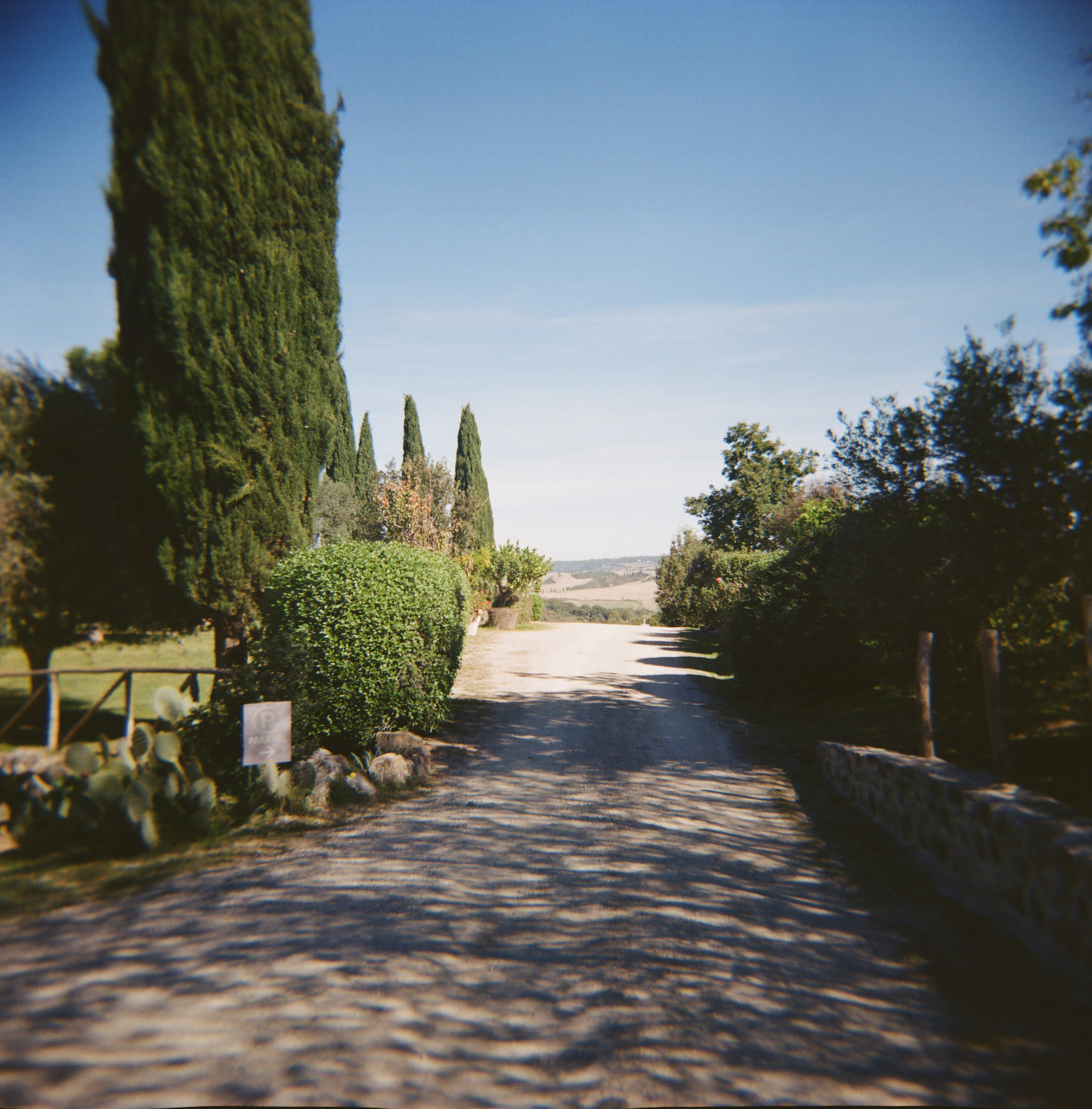 Mitcell&Melanie film. Свадебный фотограф Виктория Саврук