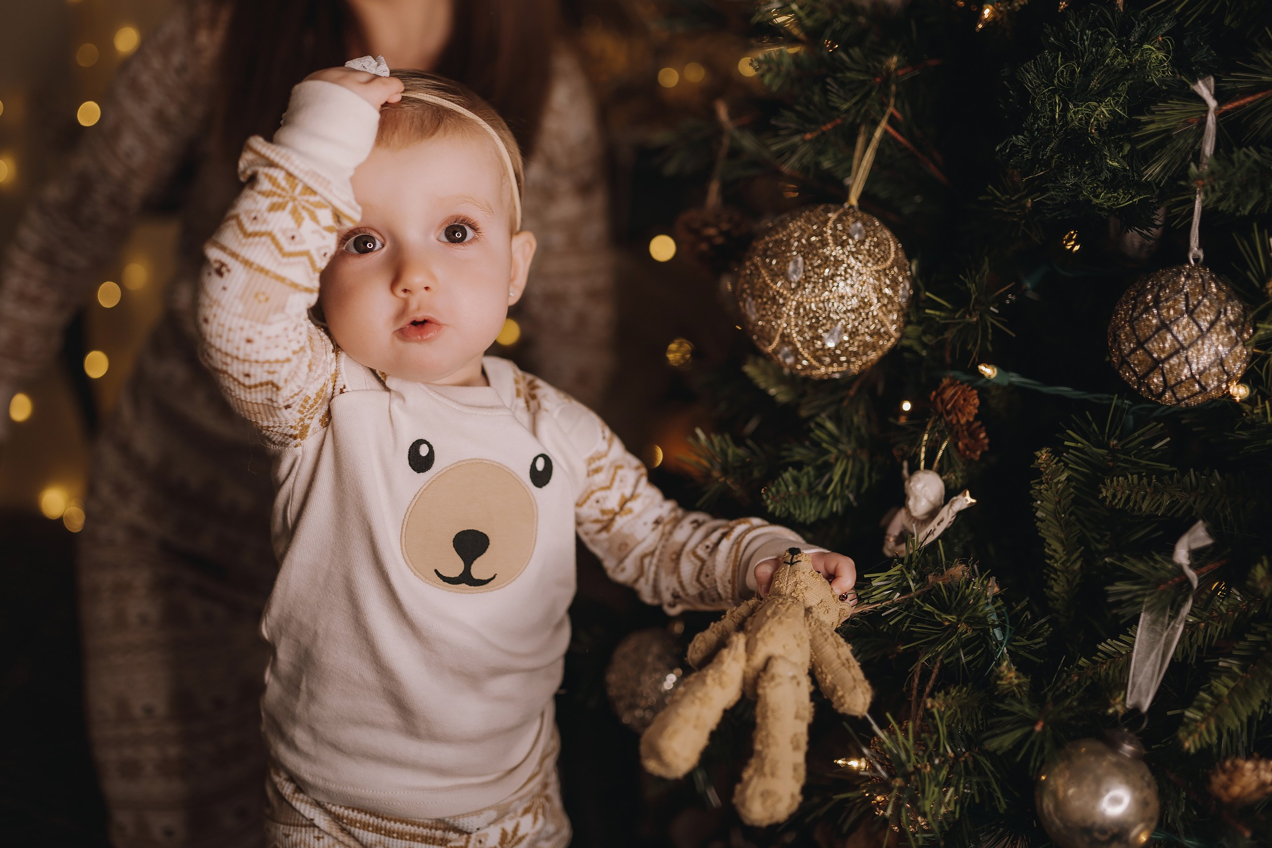 09.12.2023 Christmas Photoshoot. Wedding family event photographer in Chicago Nick Yushevich