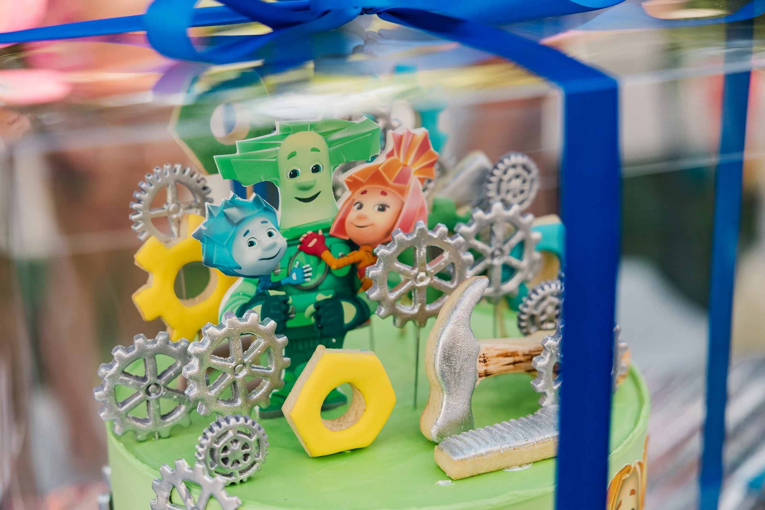 Birthday Party. Wedding family event photographer in Chicago Nick Yushevich