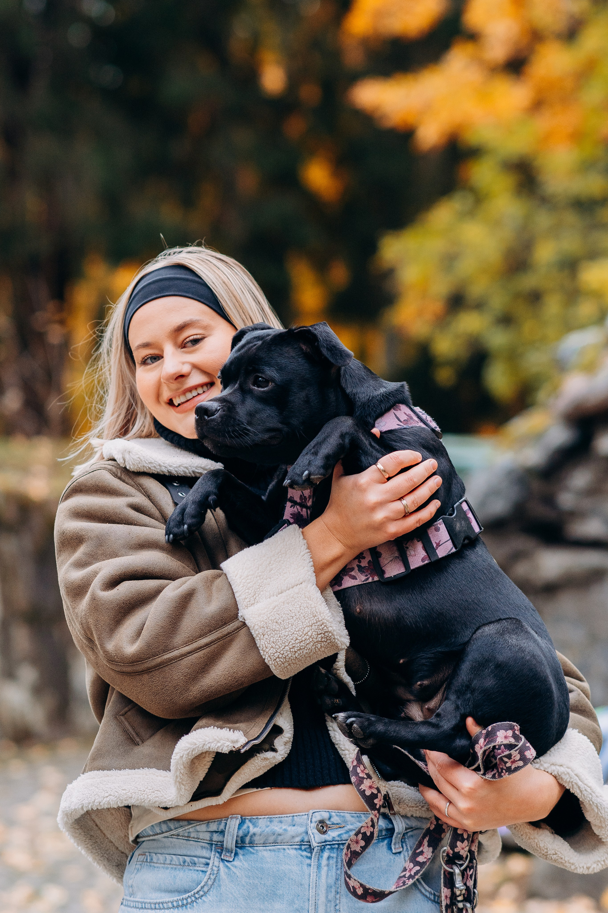 Staffordshire Bull Terriers Meetup. Kat Laisaar — Pet photographer in Tallinn