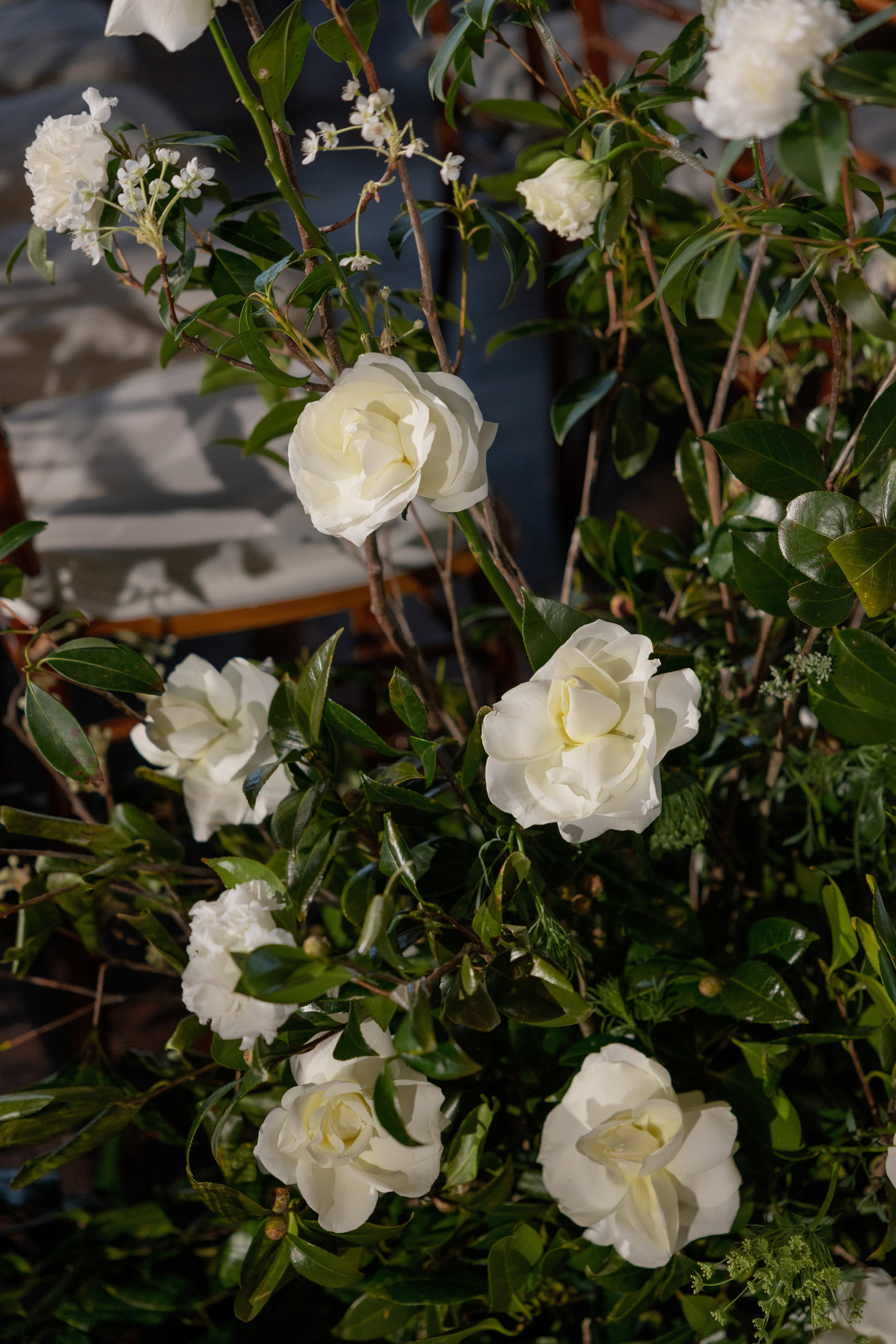 Lauren and Jonah. Wedding photographer and videographer New York | New Jersey