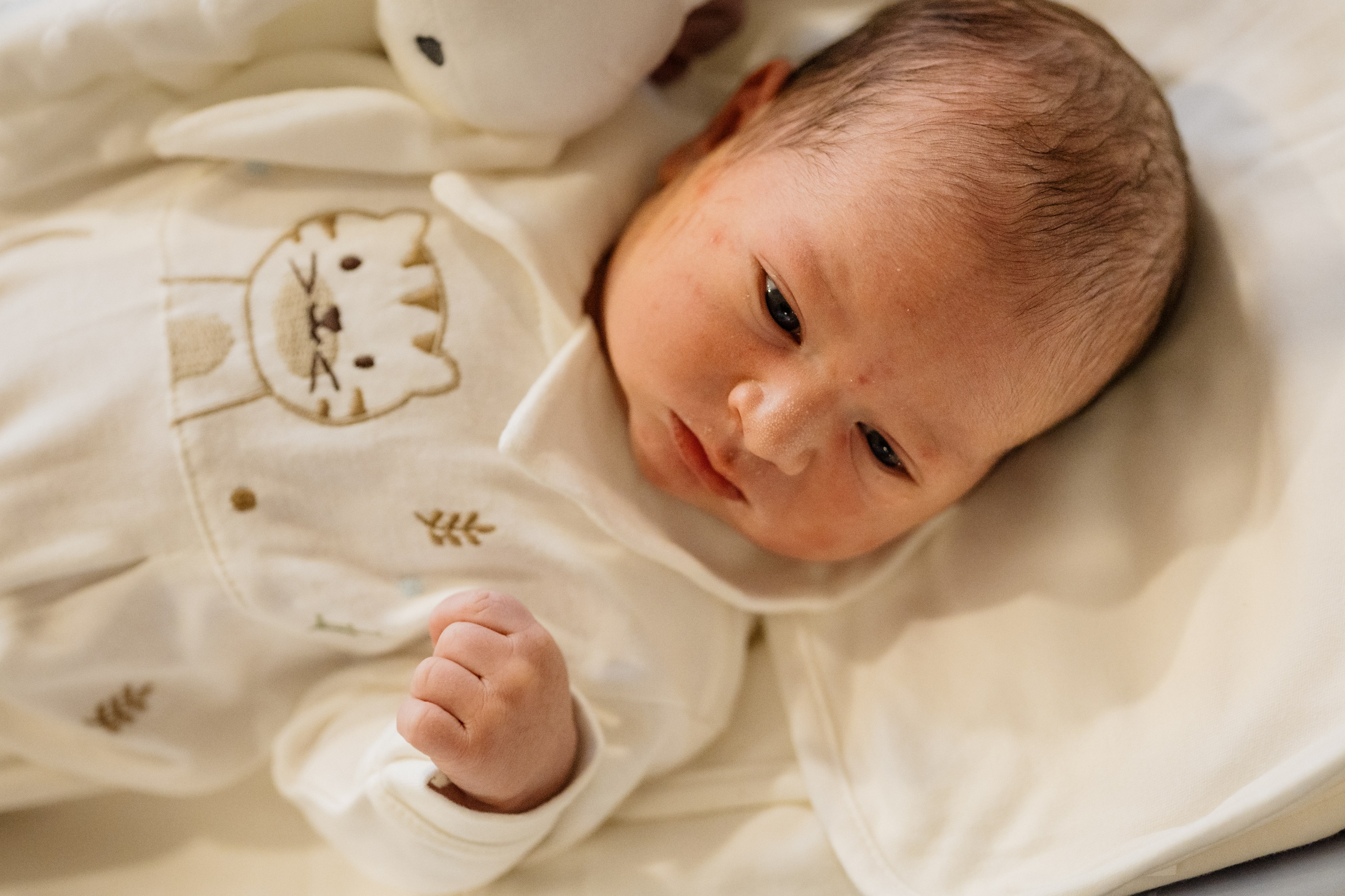 bebê em ensaio maternidade