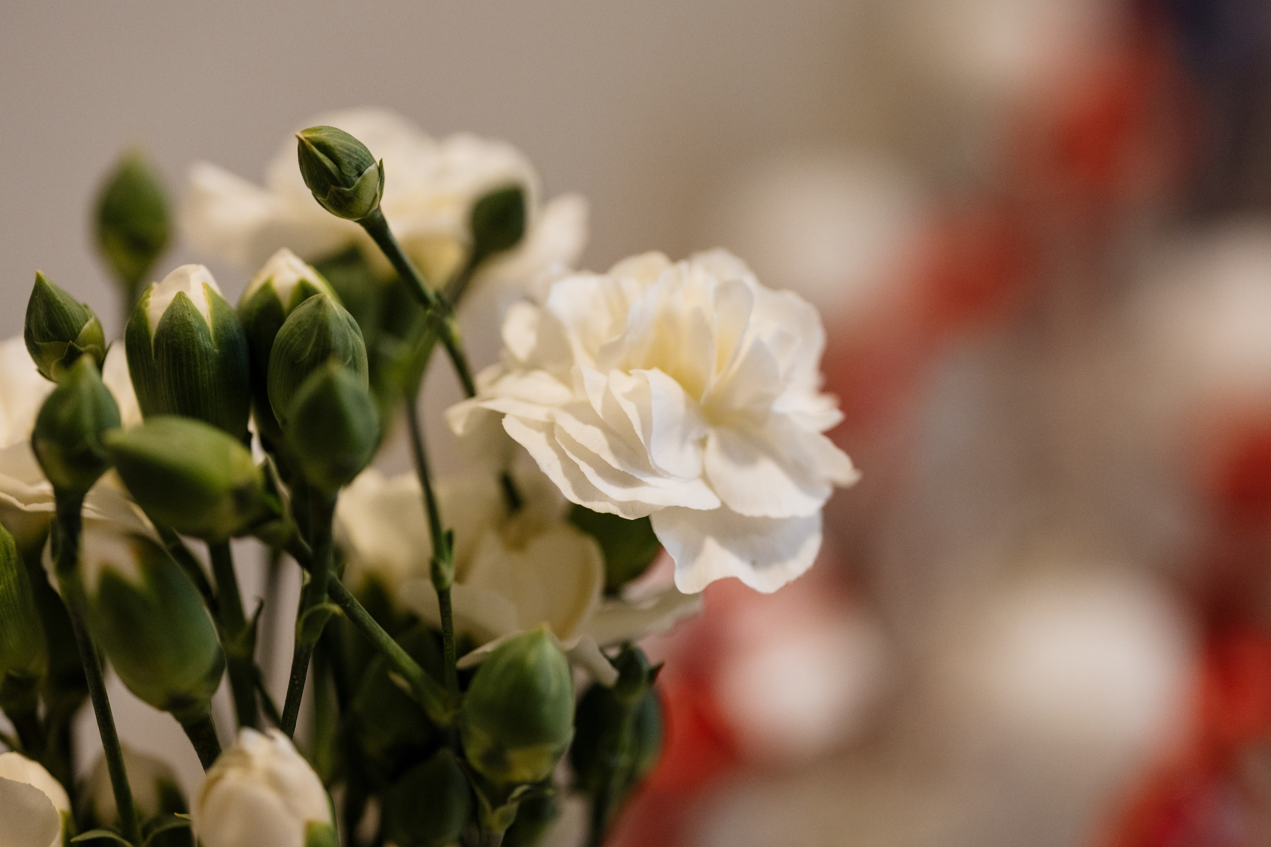 detalhes de decoração em maternidade