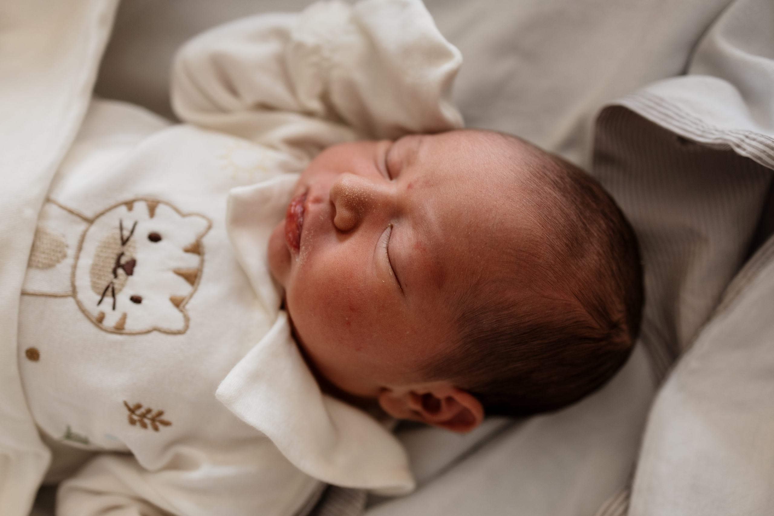 ensaio newborn lifestyle