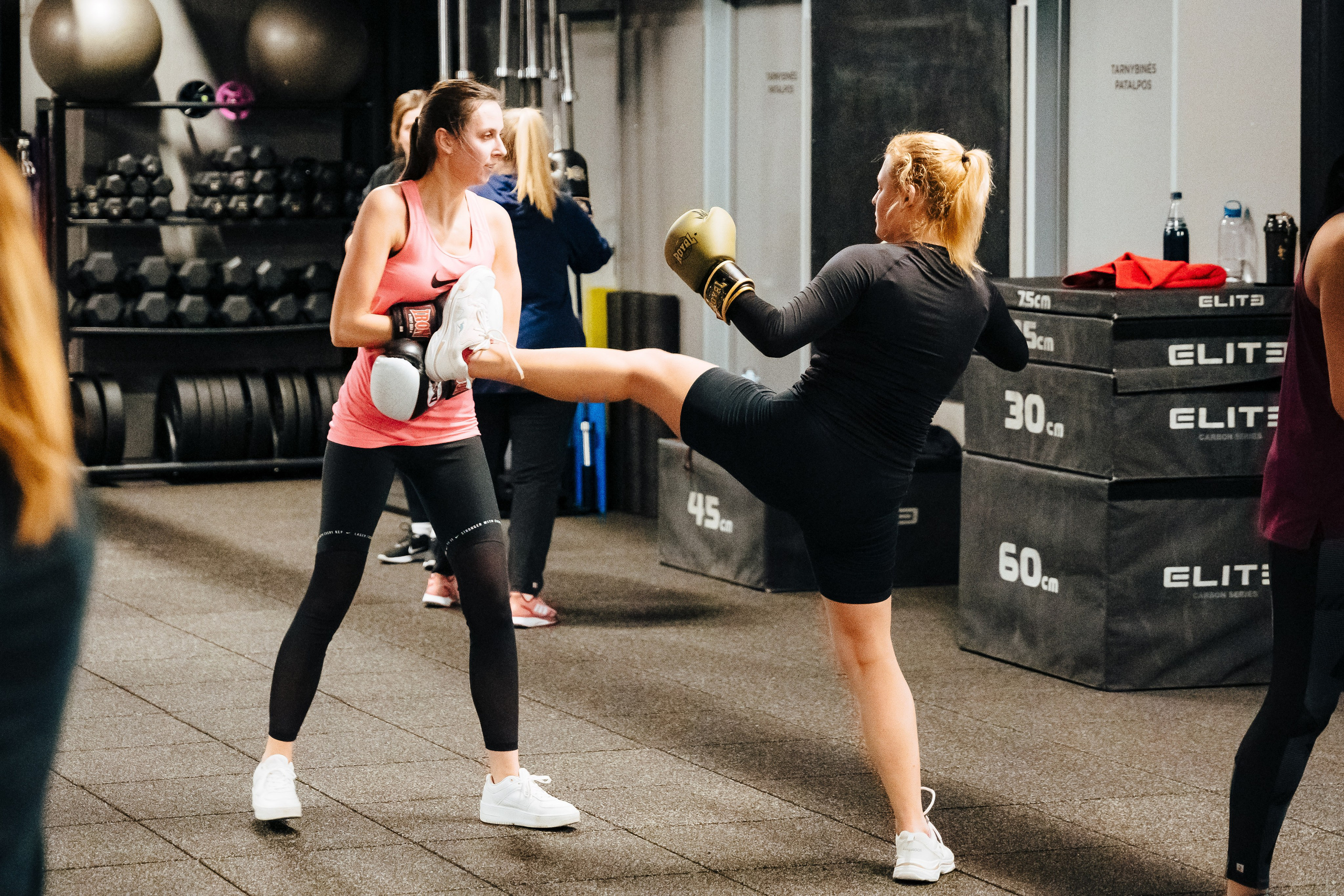 Gym+ Muay Thai. OnePIXEL