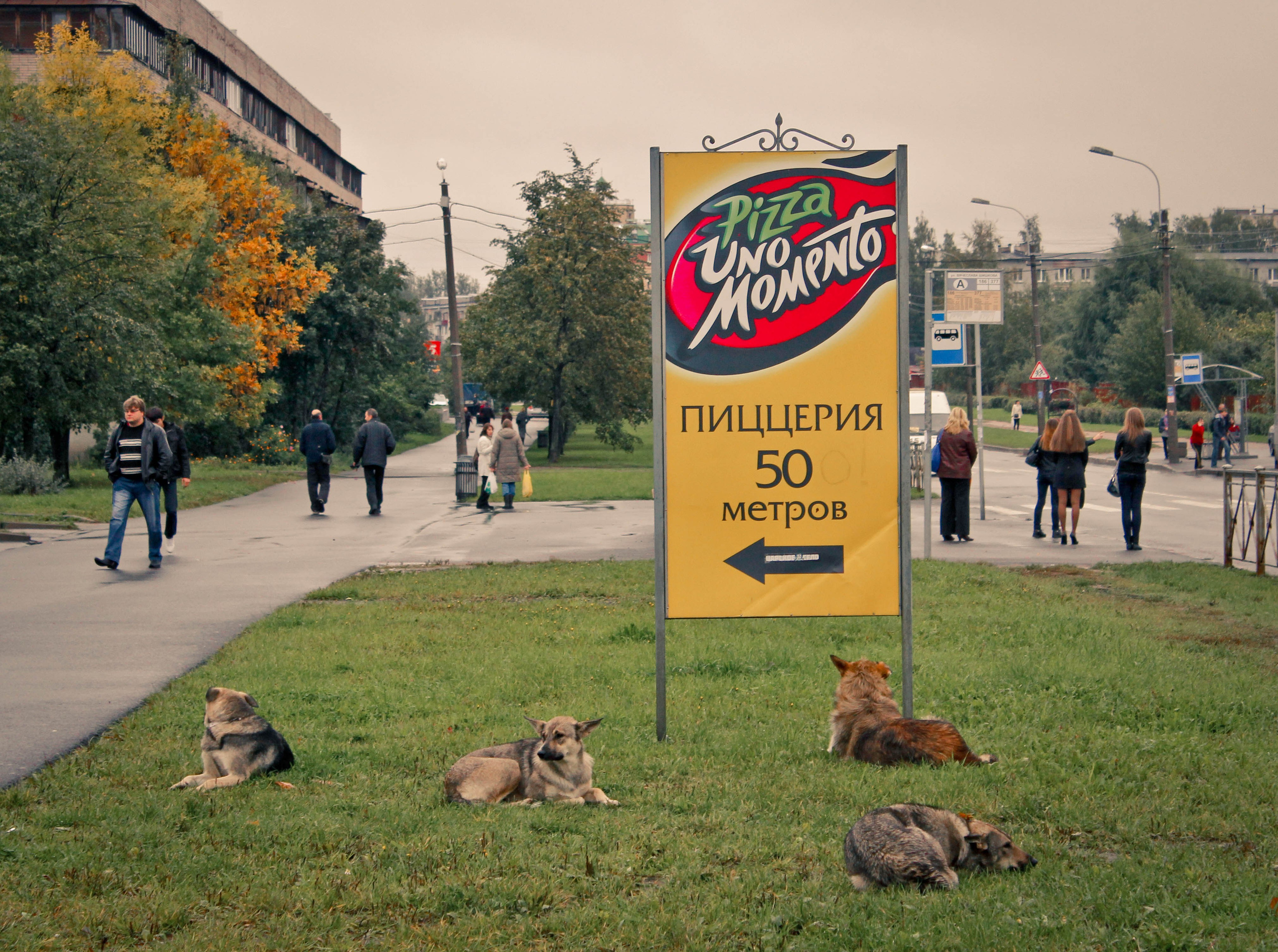 2011. Стрит-фотография, полная абсурда, идиотизма и красоты