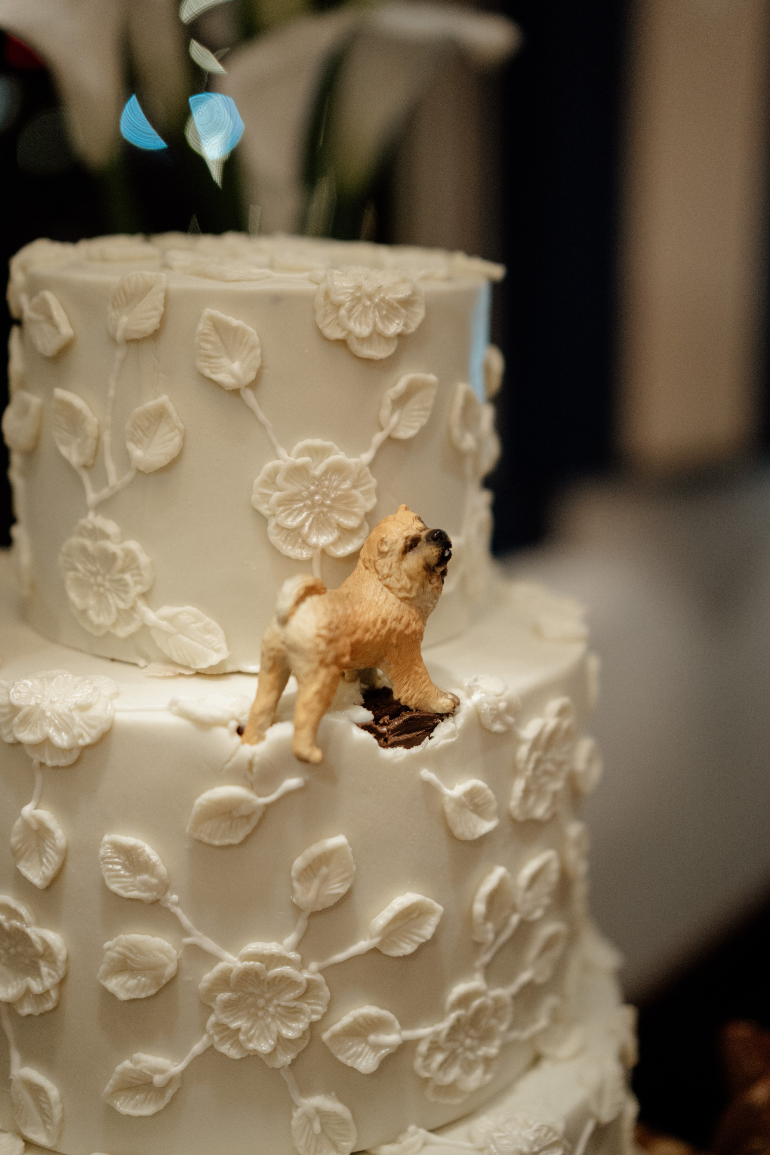 Clarice & Caio. Congiu Wedding