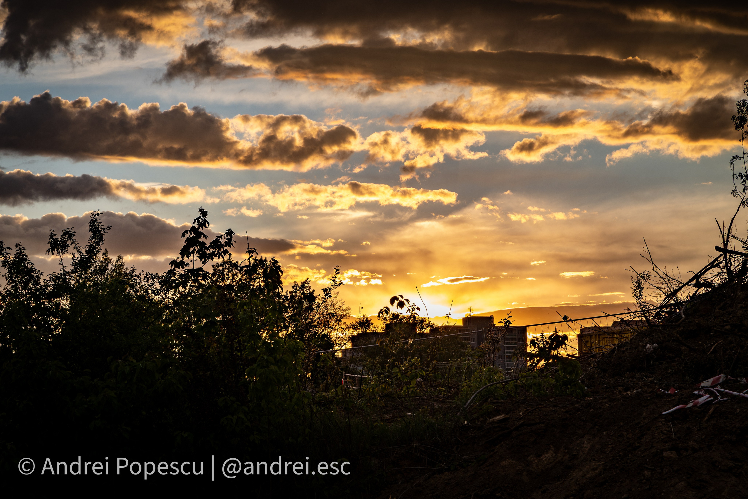 Andrei Popescu Photography