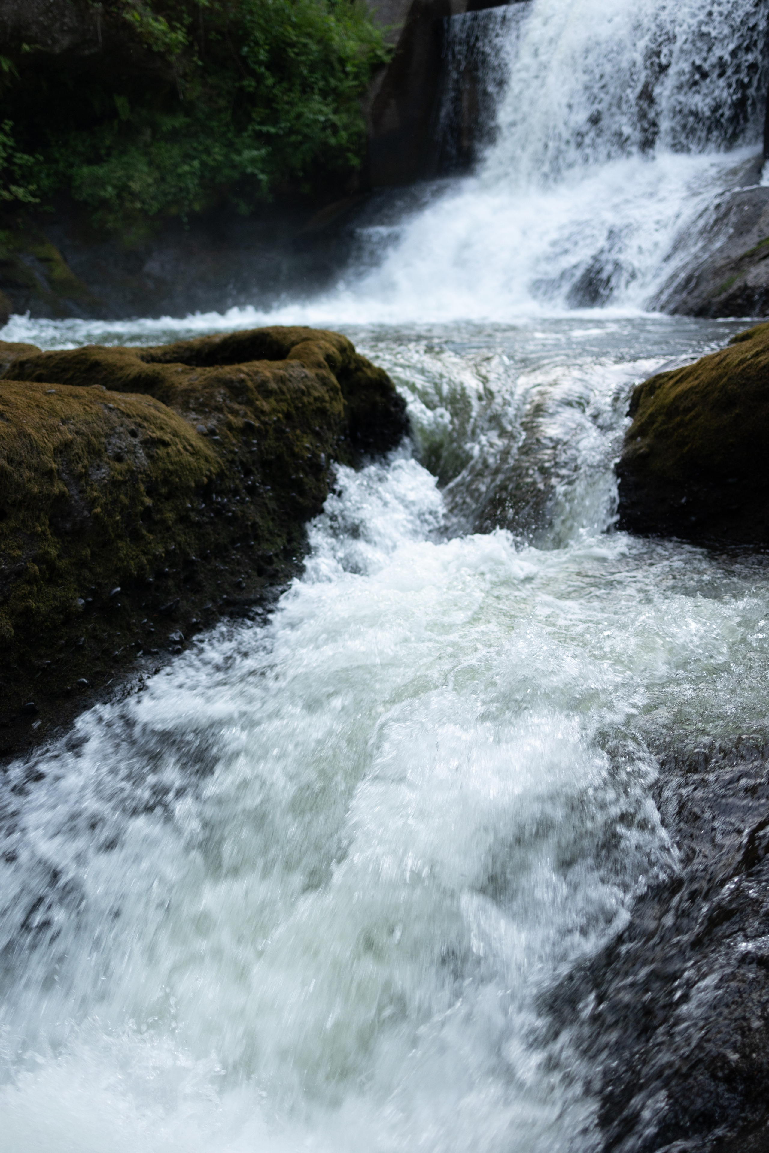 Solitude in the Embrace of Nature. Family photographer Oregon — Washington