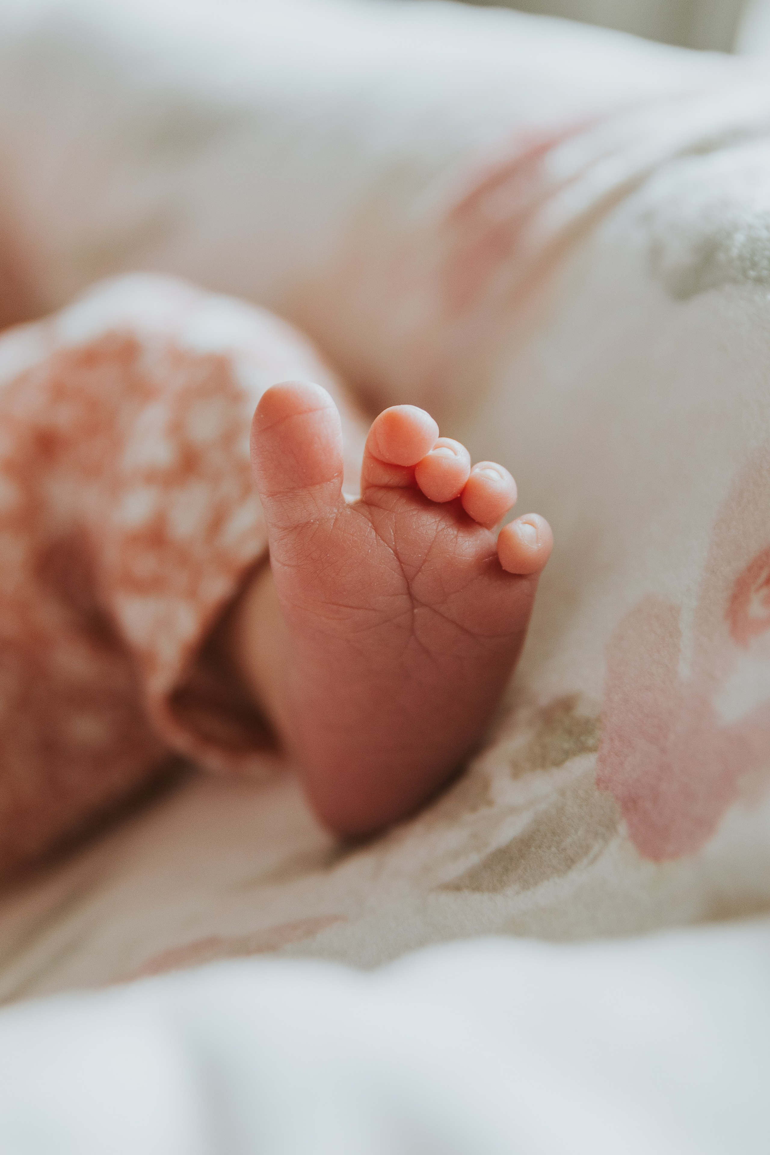 Newborn | In Home. Utah Family Photographer