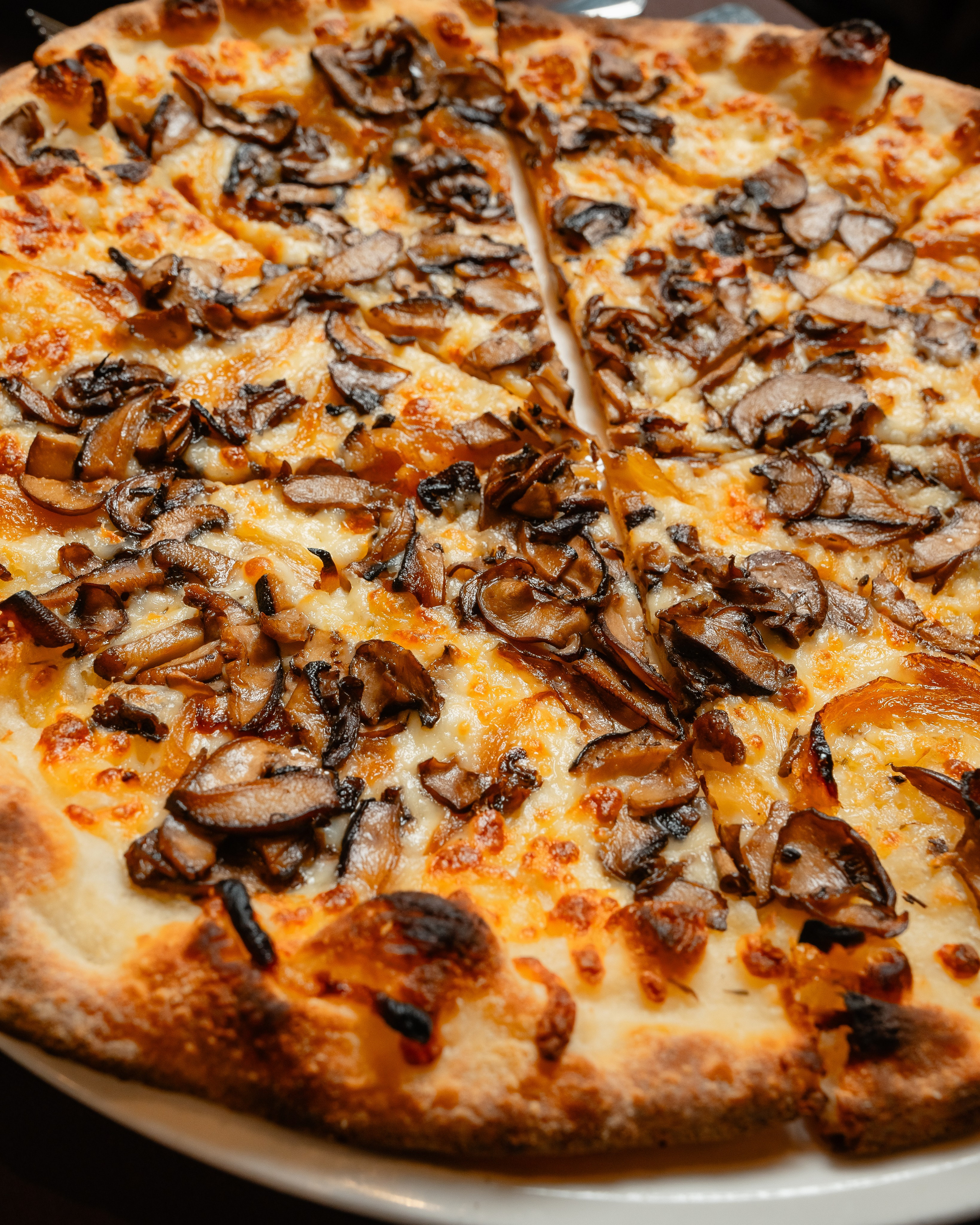 Luna. Welcome to my video and photo world!