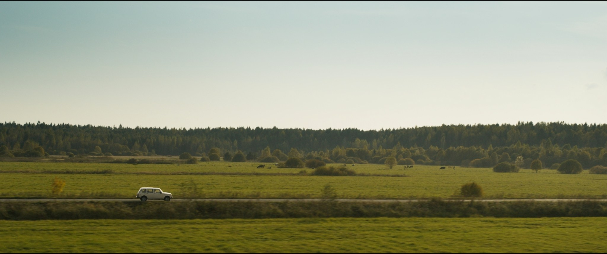 Kosmicheskaya sobaka Lida | Film. Ilia Ivanov