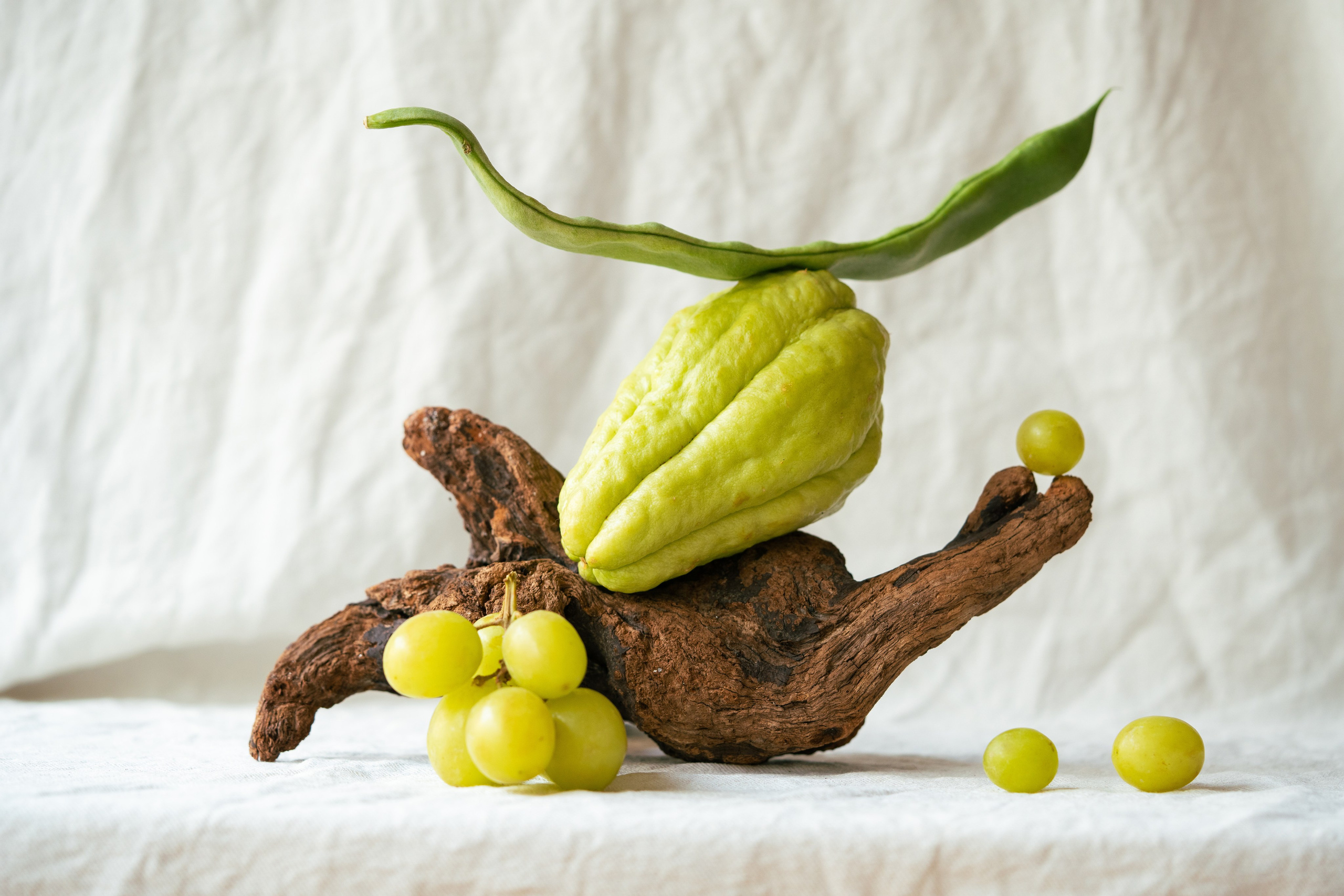 Artistic Food Still Life with Chayote, Grapes, and Driftwood. Creative arrangement of a chayote, green grapes, and driftwood on a white textured background