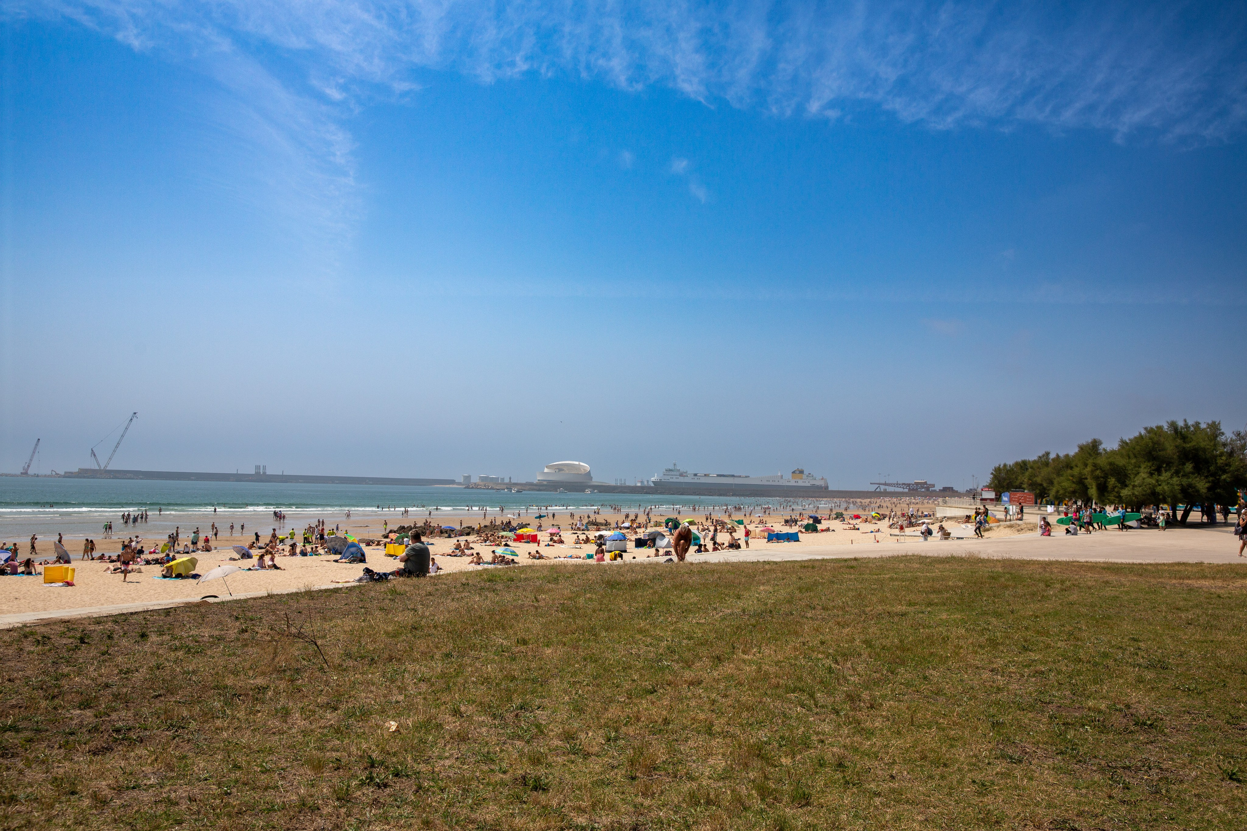 Paisagens. Thiago Chinellato