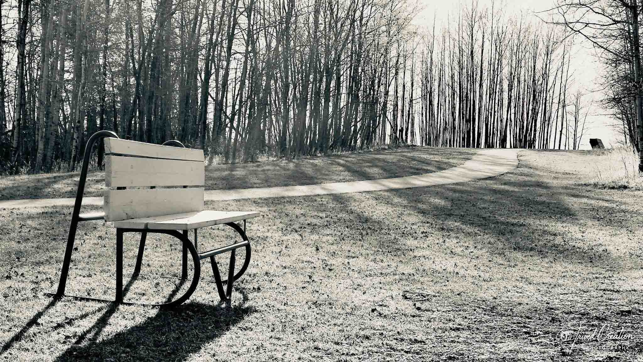 Landscape & Nature. Prived Creation