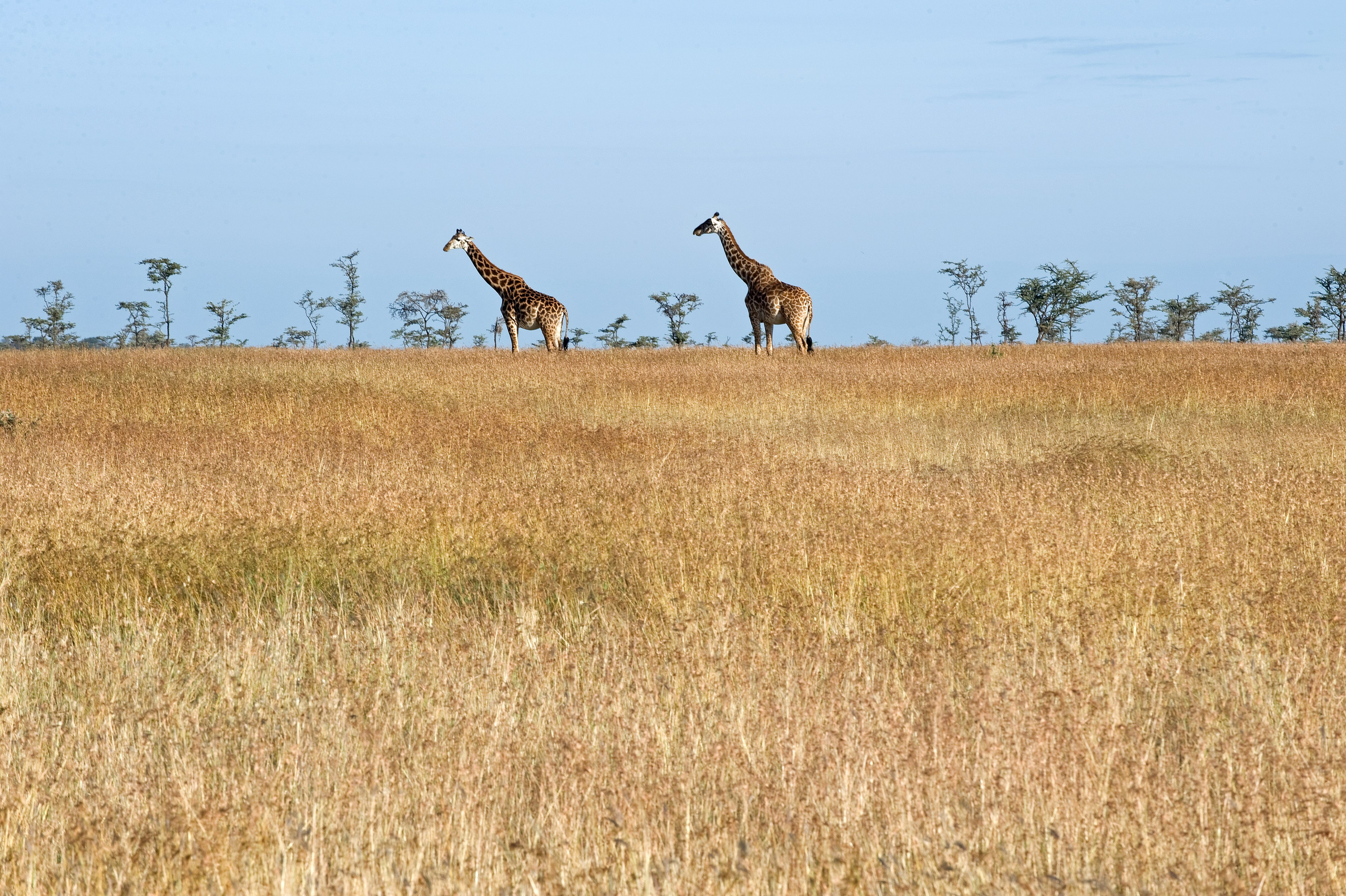 ТРЕВЕЛ. Фотограф и преподаватель фотографии в Белграде