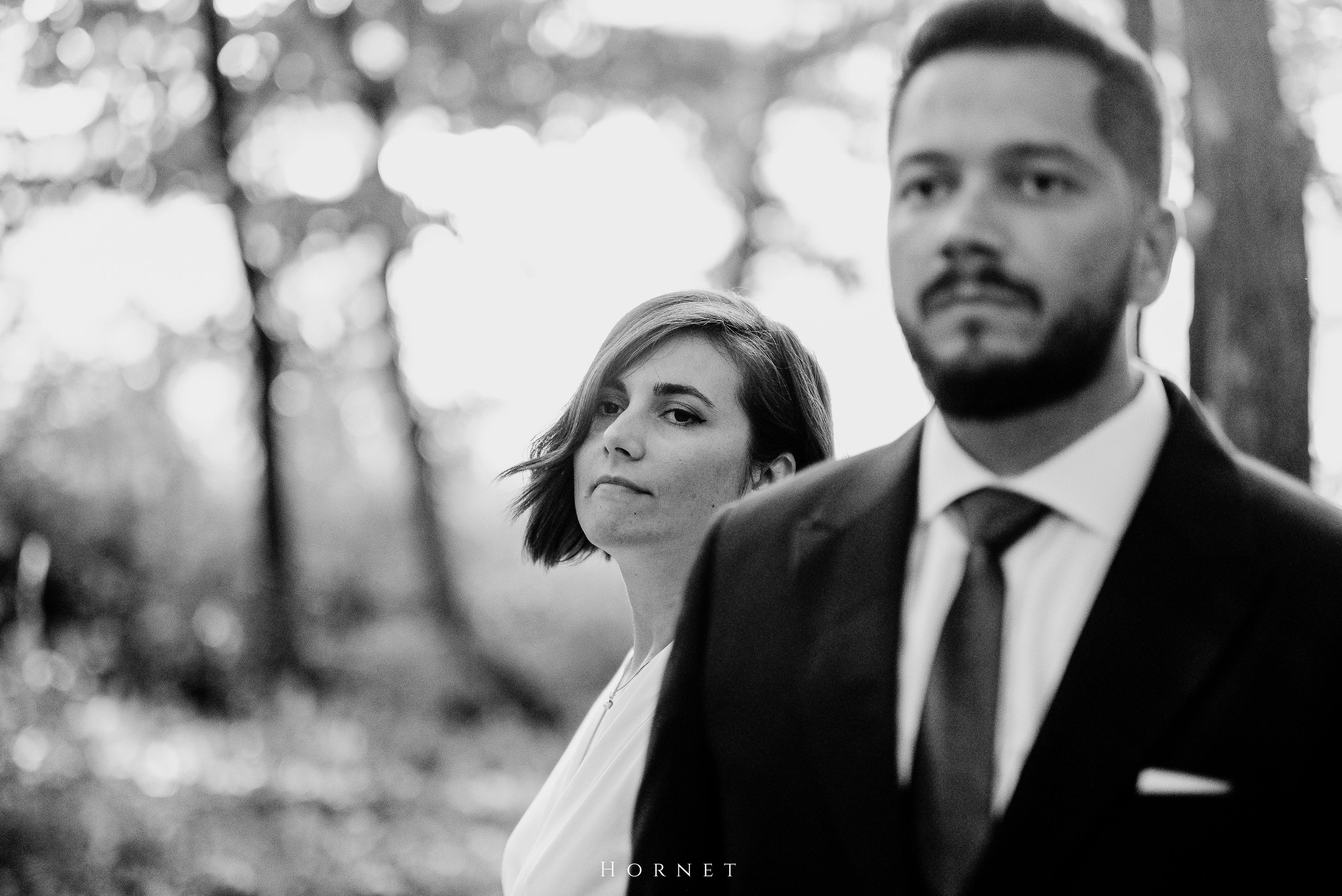 Silvia + Ionut. Hornetart